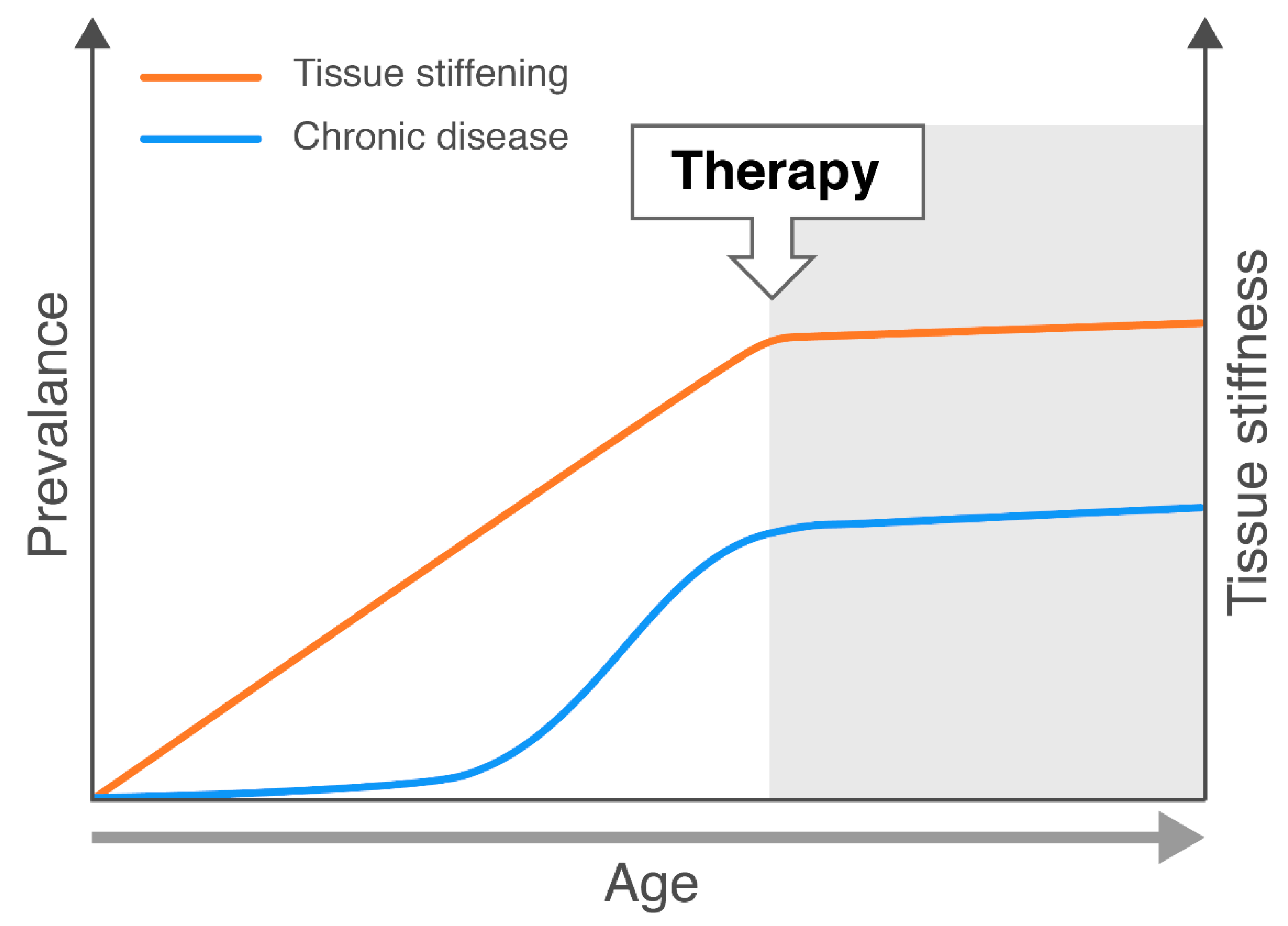 Cells 09 00151 g003 Cells 09 00151 g003