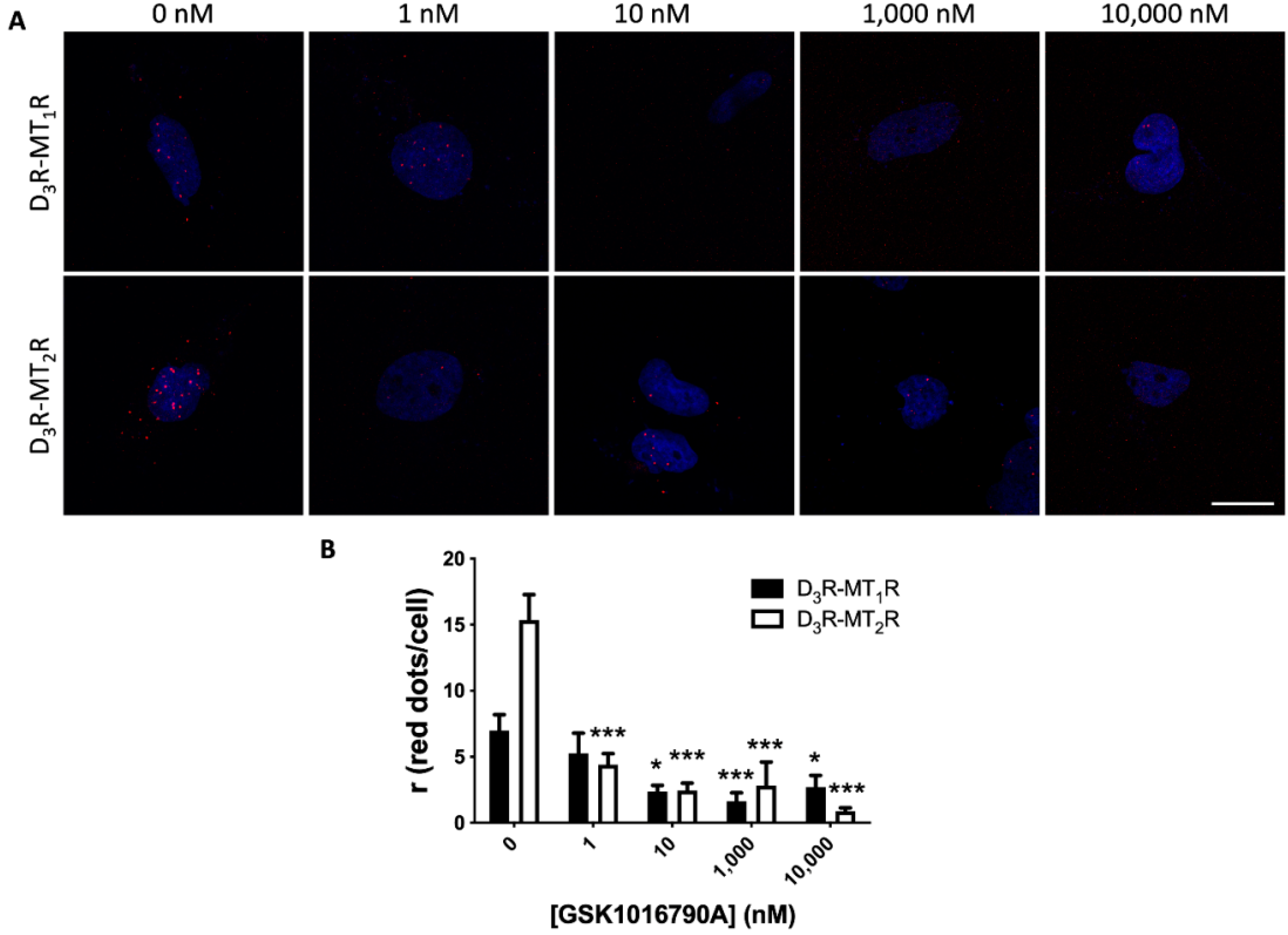 Cells 09 00152 g003