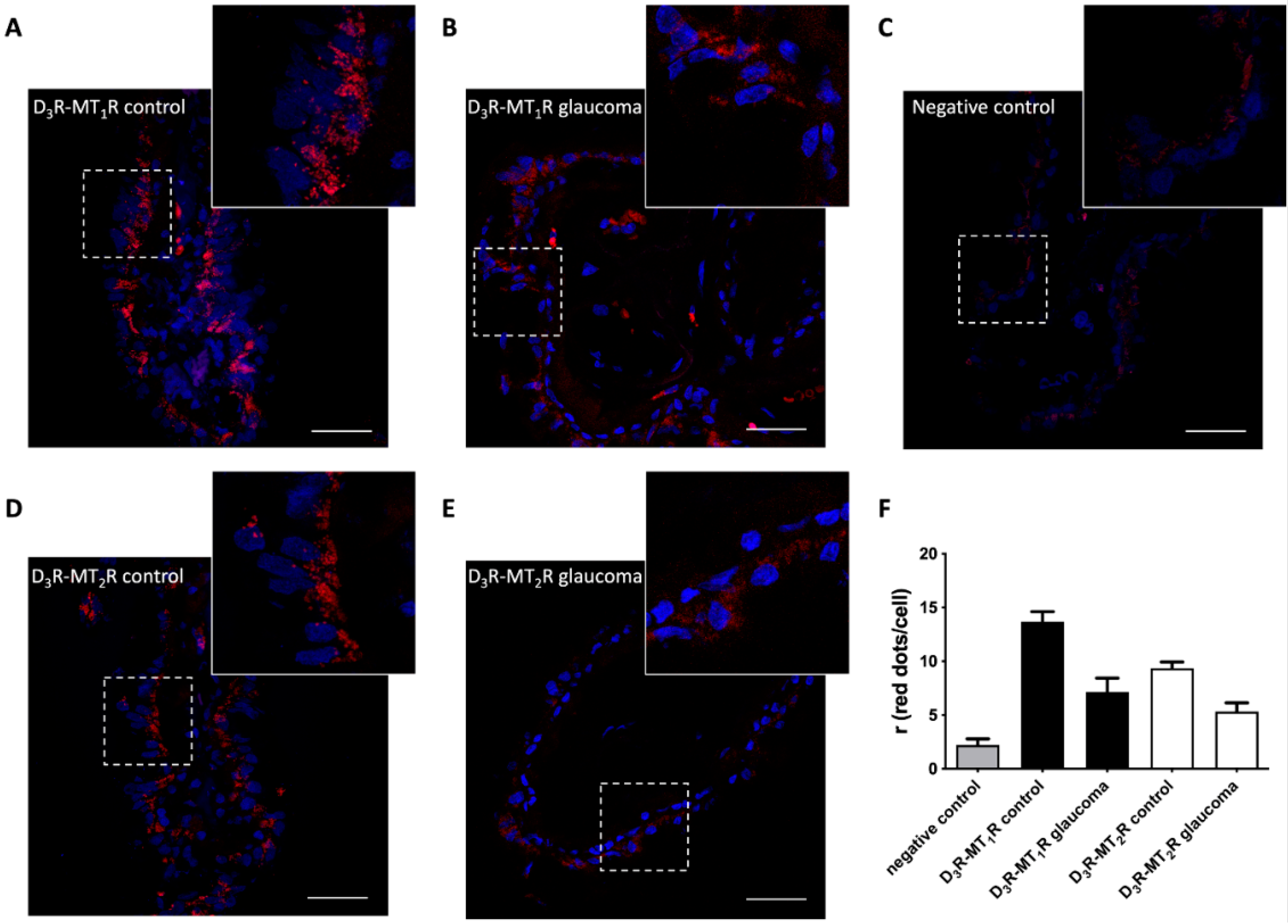 Cells 09 00152 g005
