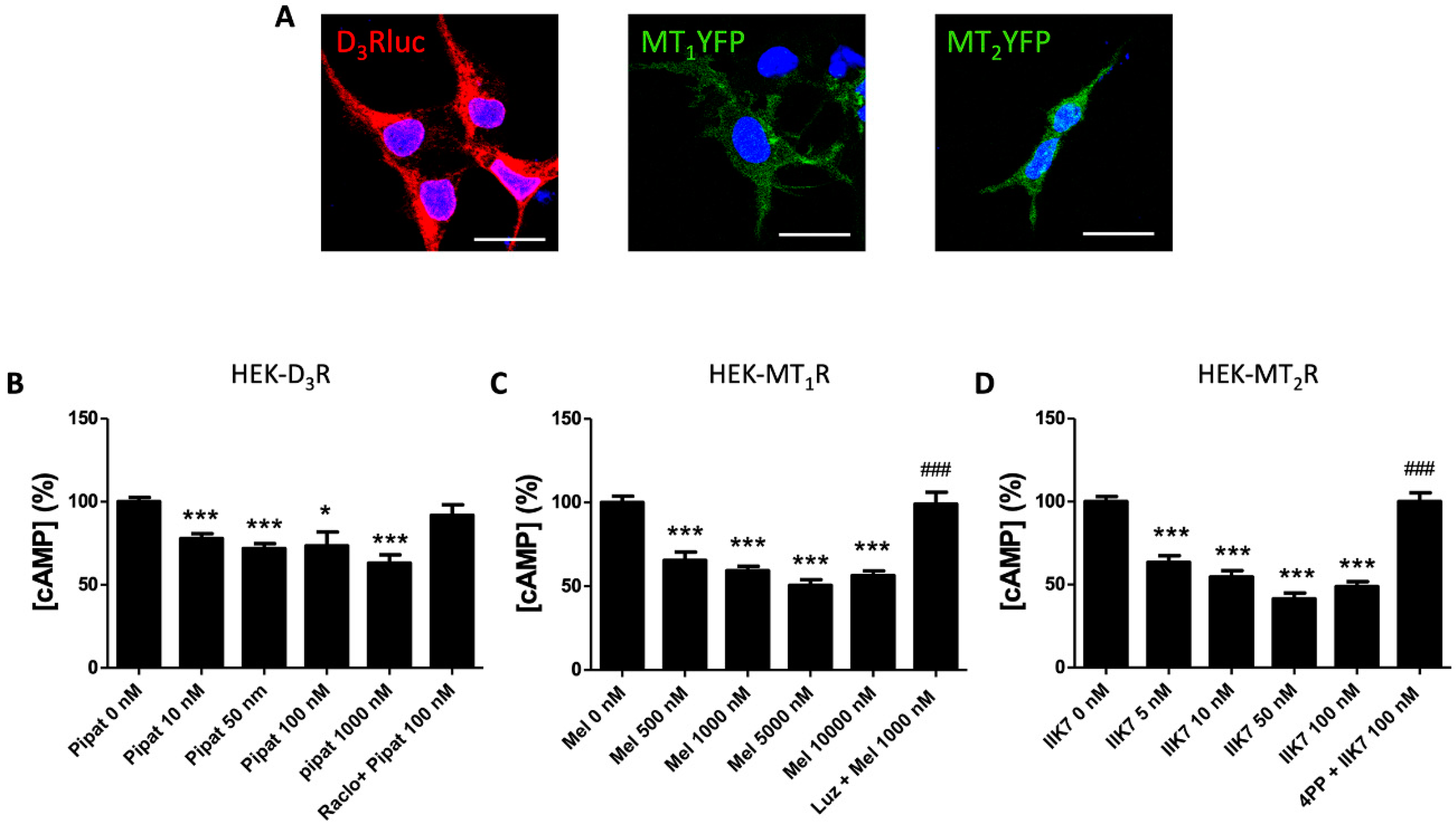 Cells 09 00152 g0a1
