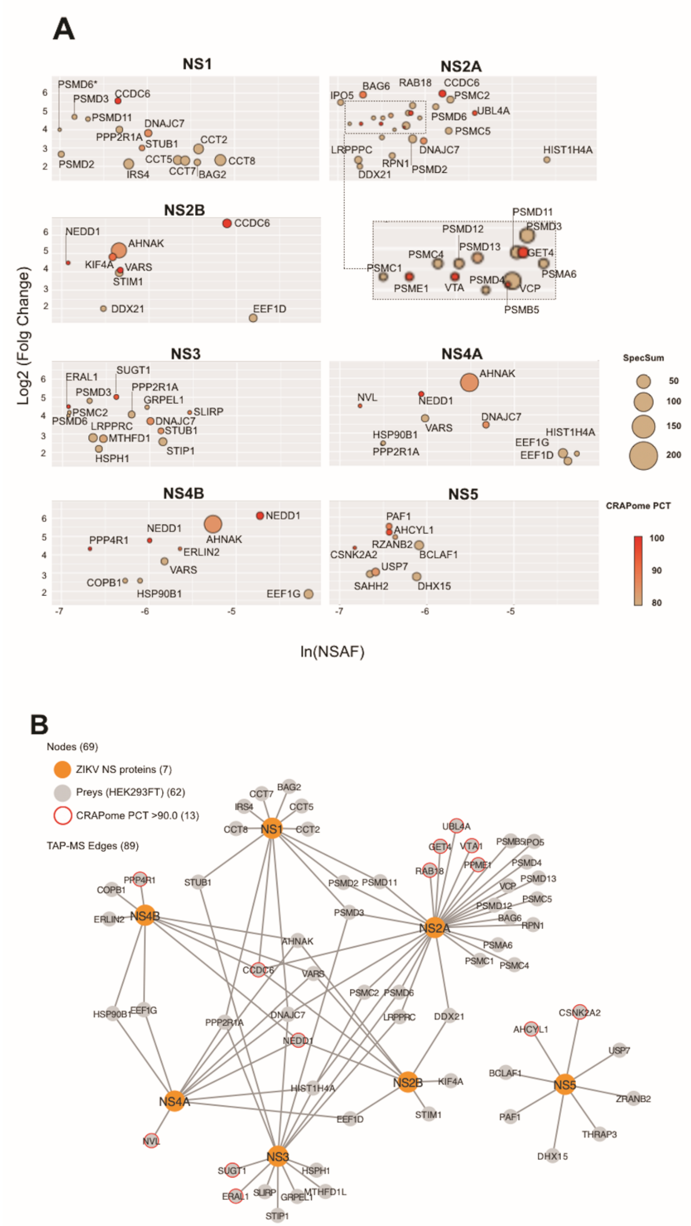 Cells 09 00153 g002 Cells 09 00153 g002