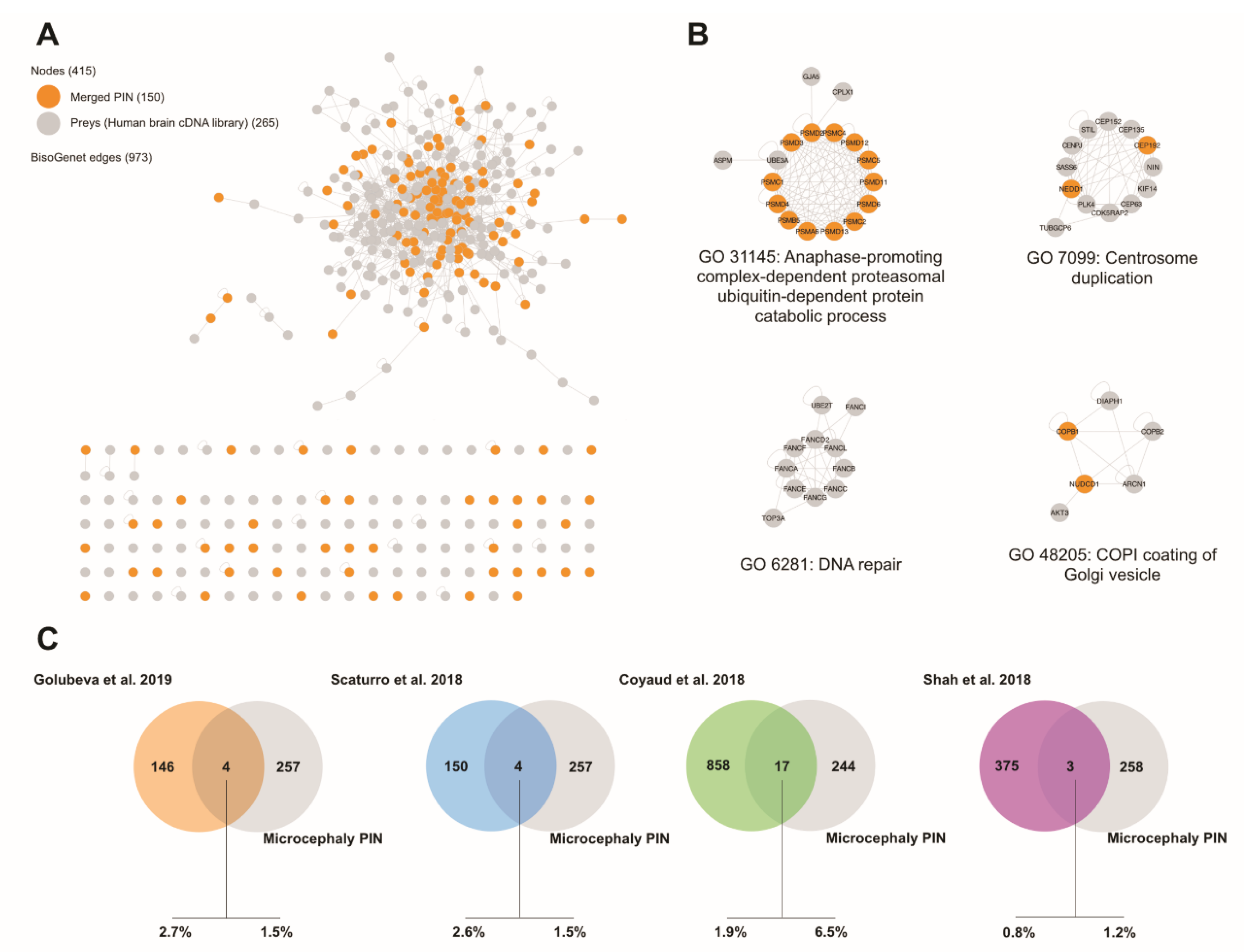 Cells 09 00153 g005 Cells 09 00153 g005
