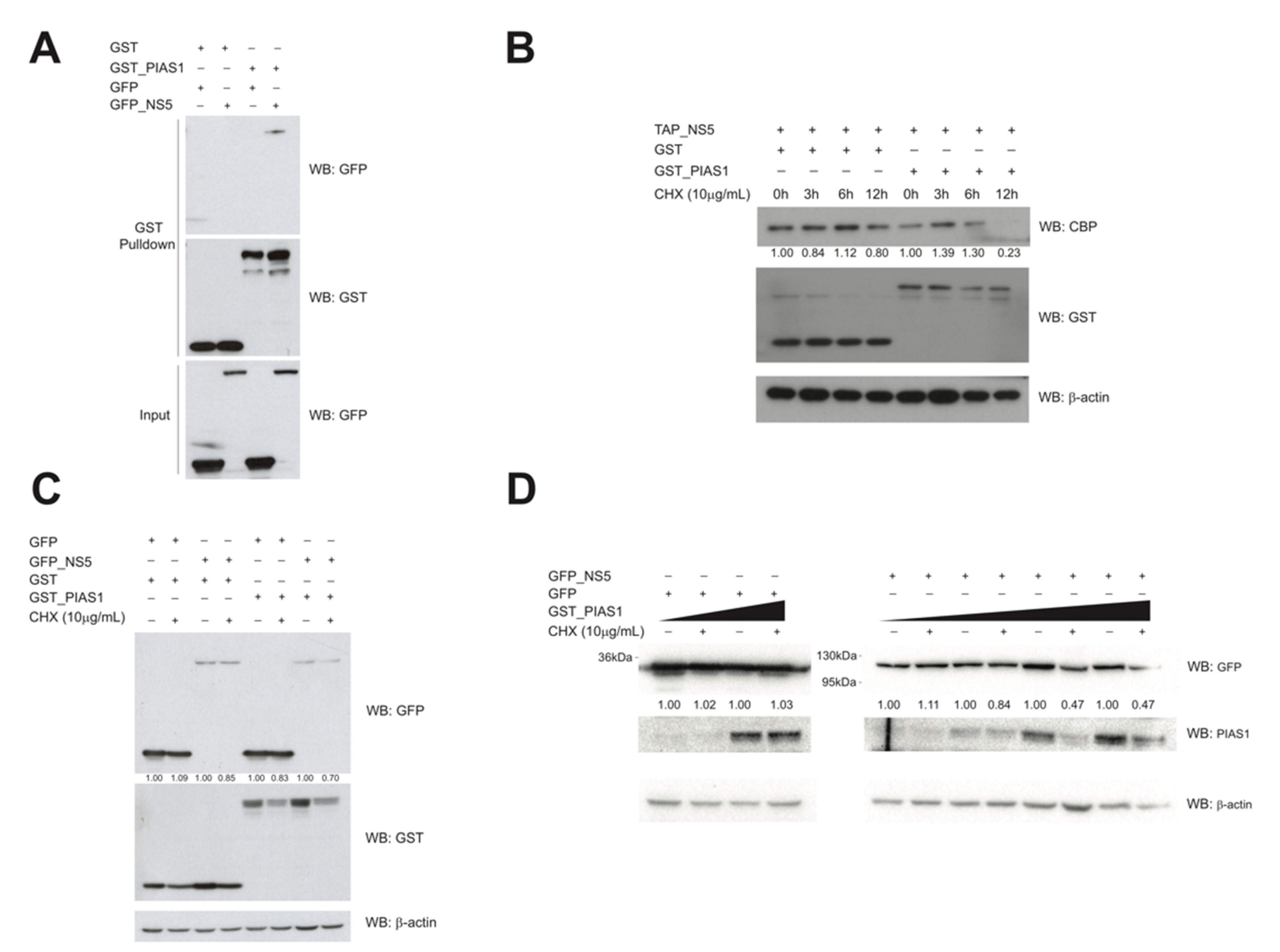 Cells 09 00153 g006 Cells 09 00153 g006