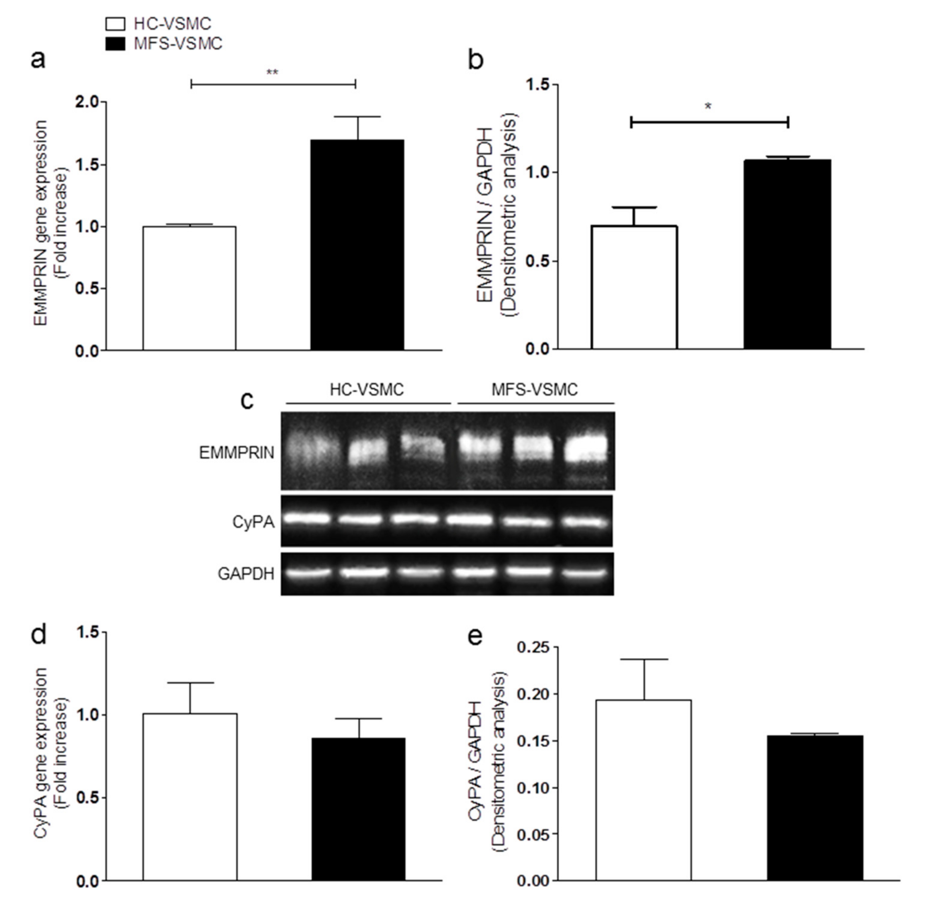Cells 09 00154 g003