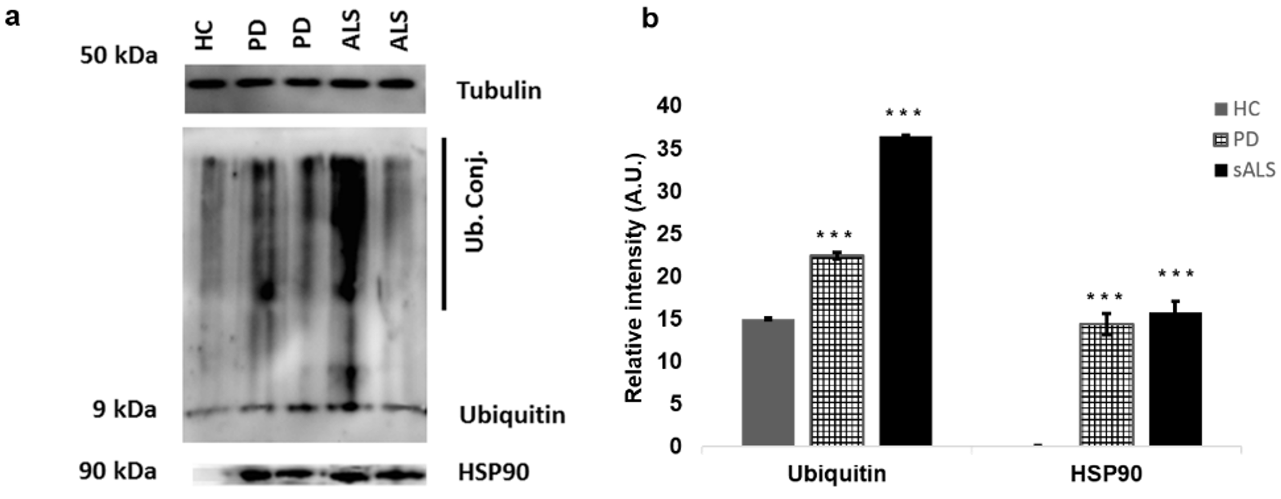Cells 09 00164 g007 550