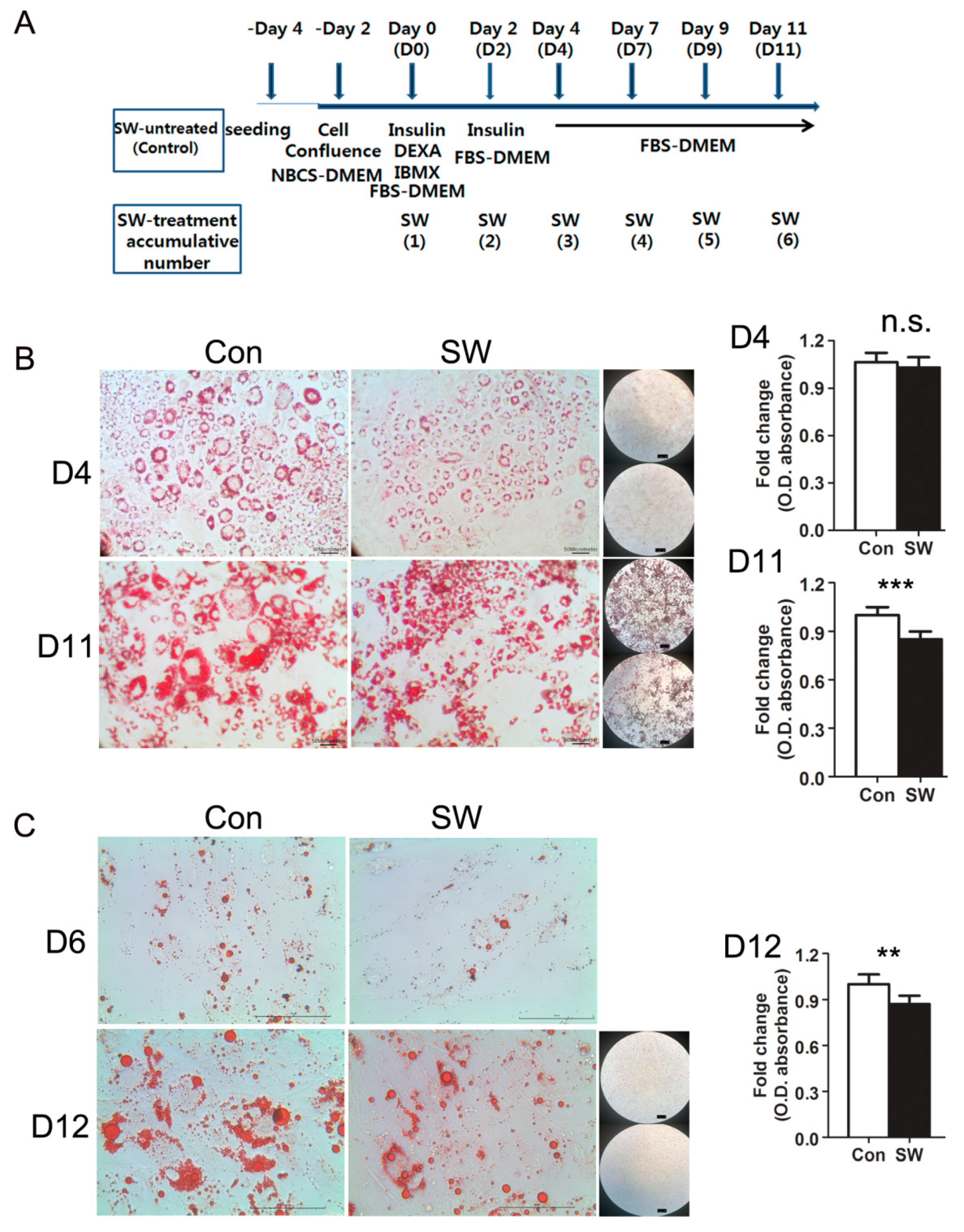 Cells 09 00166 g001