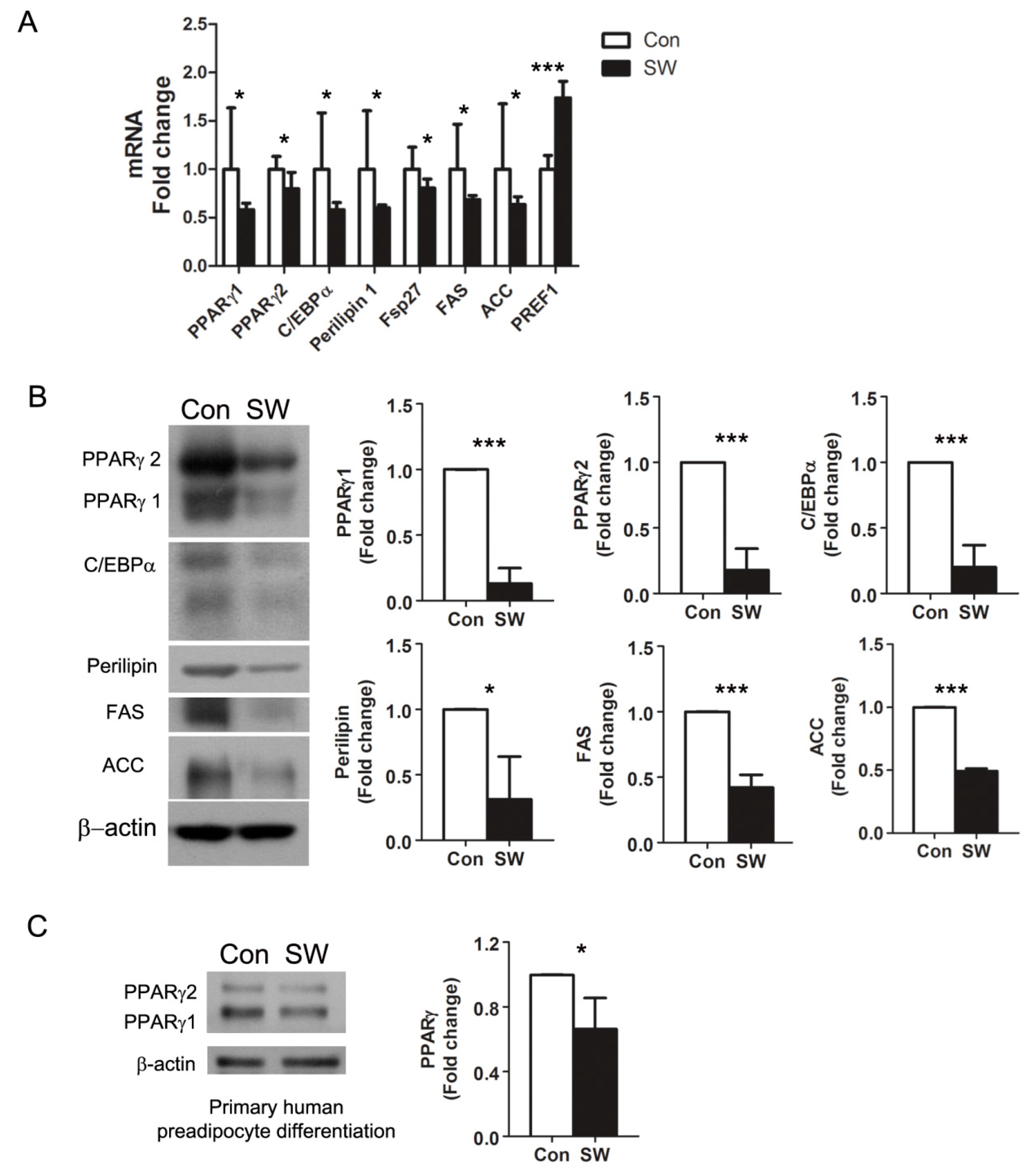Cells 09 00166 g002