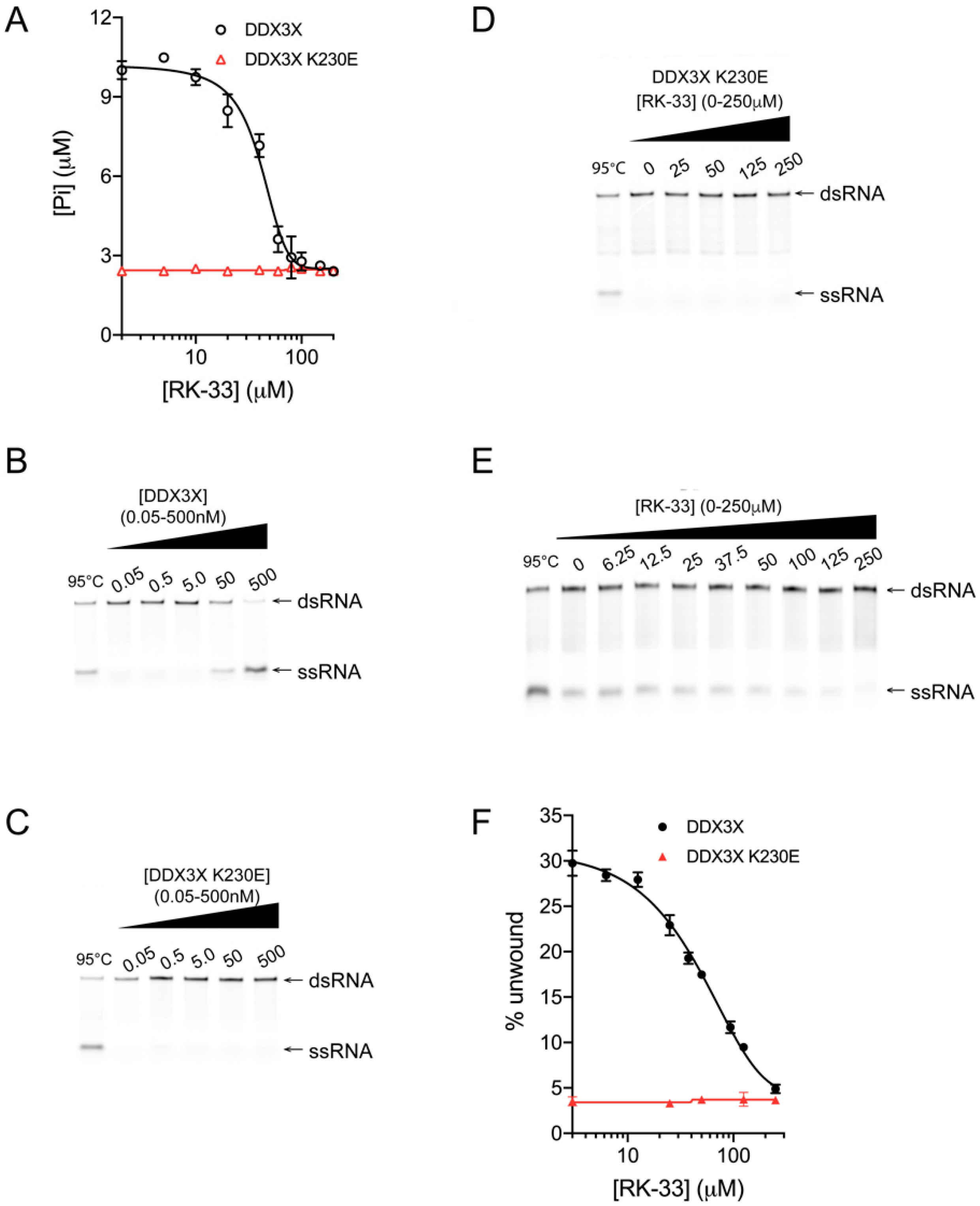 Cells 09 00170 g002 Cells 09 00170 g002