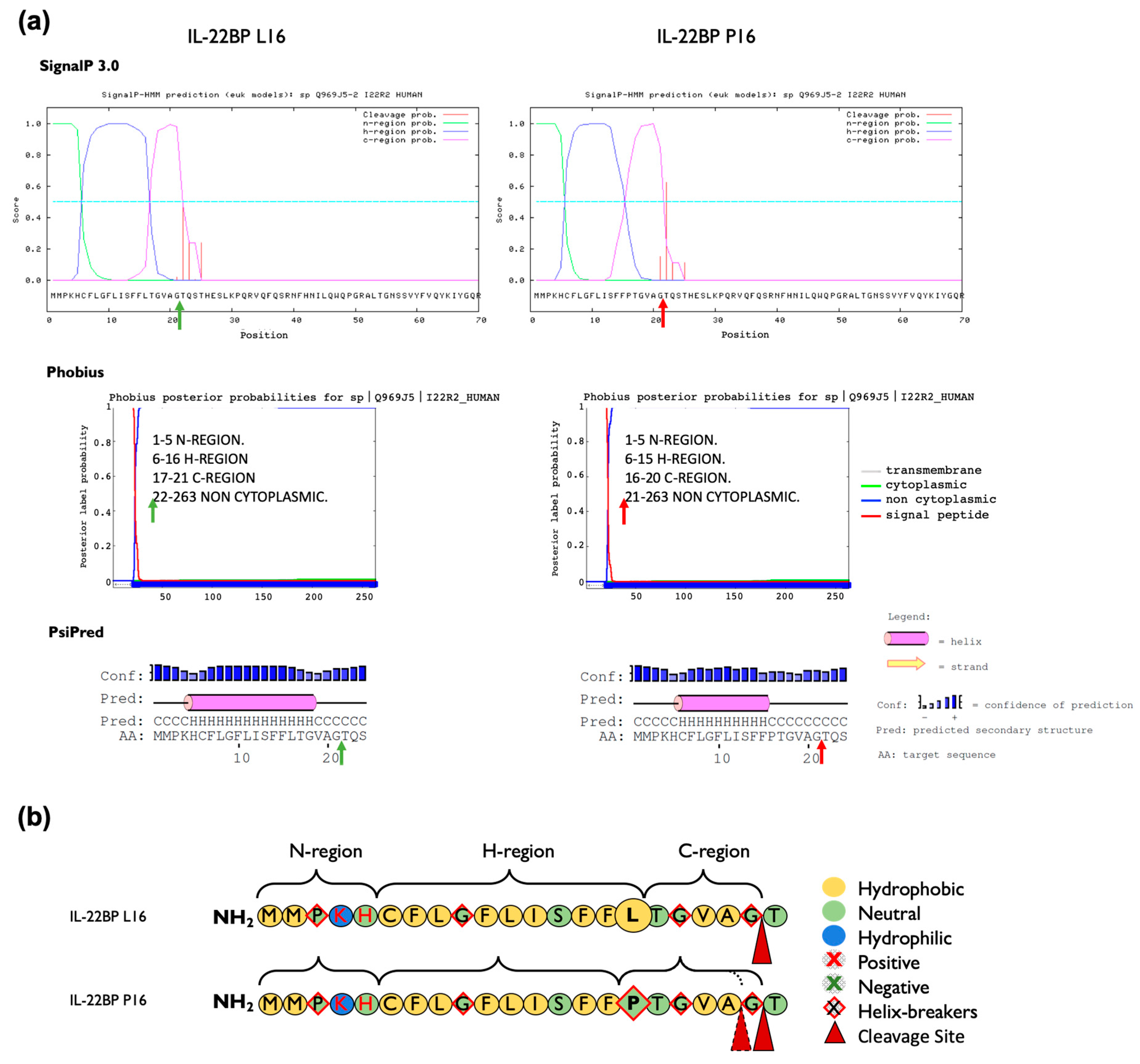Cells 09 00175 g003 Cells 09 00175 g003
