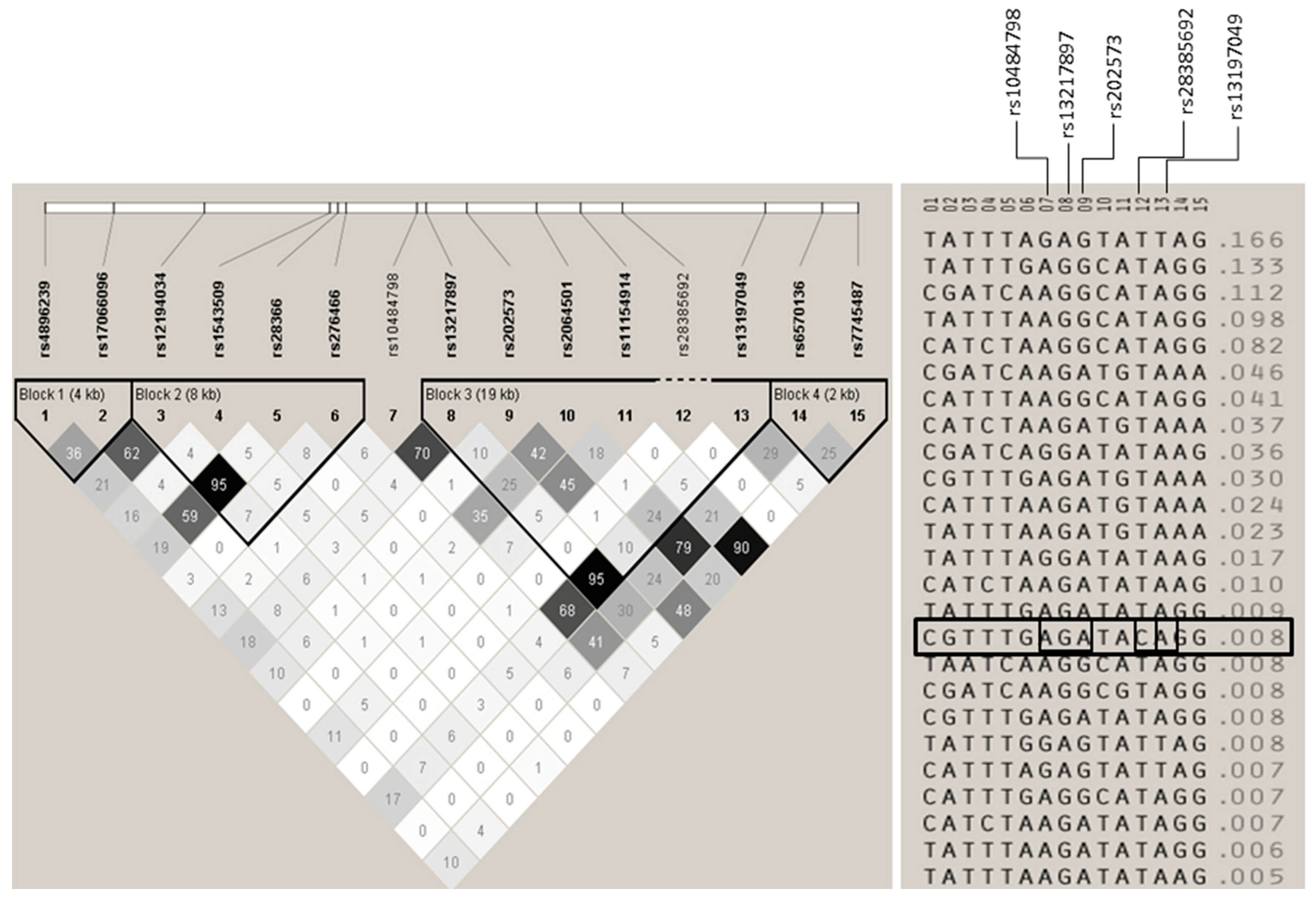 Cells 09 00175 g0a1 Cells 09 00175 g0a1