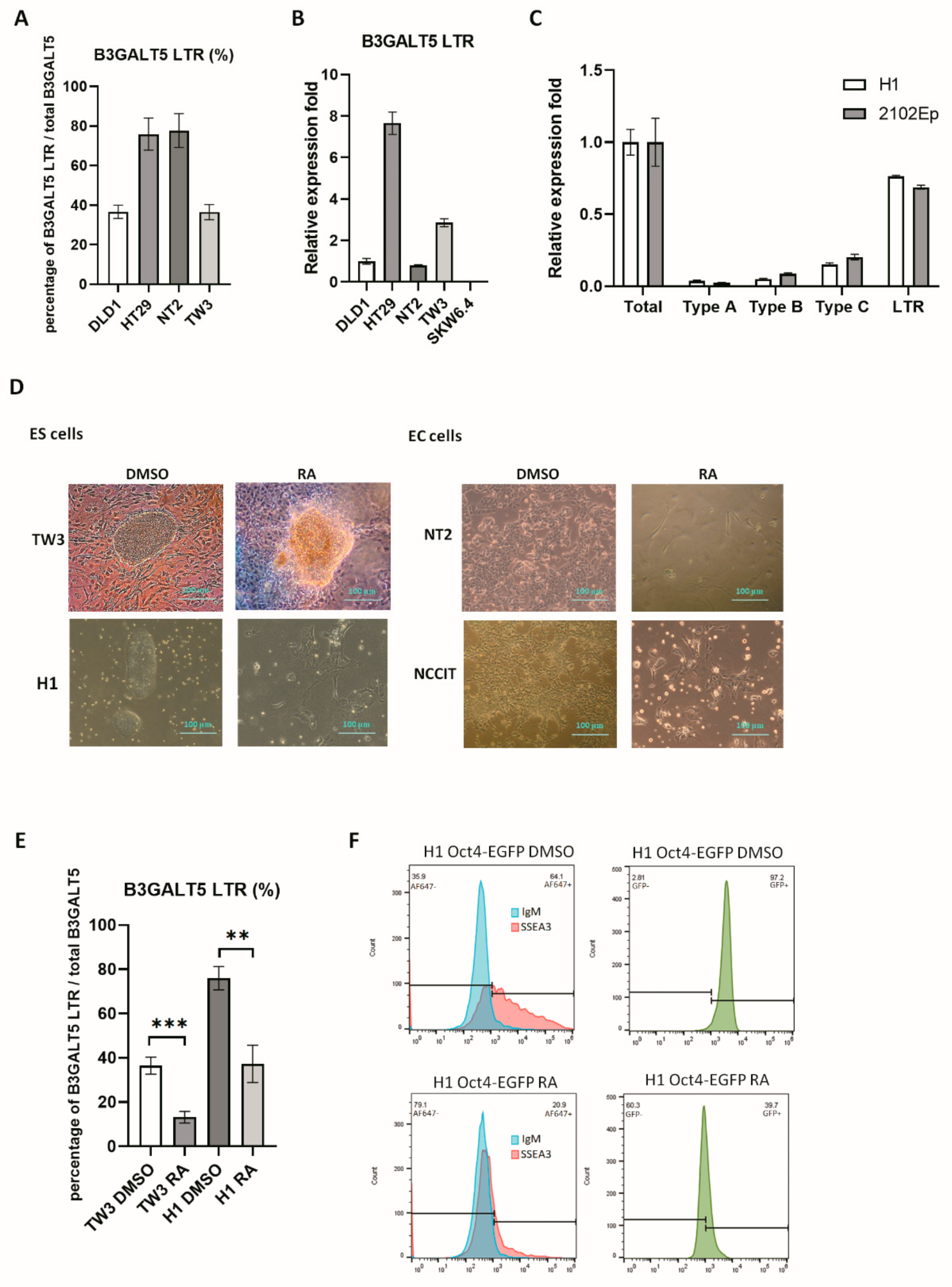 Cells | Free Full-Text | SSEA3 and Sialyl Lewis a Glycan 
