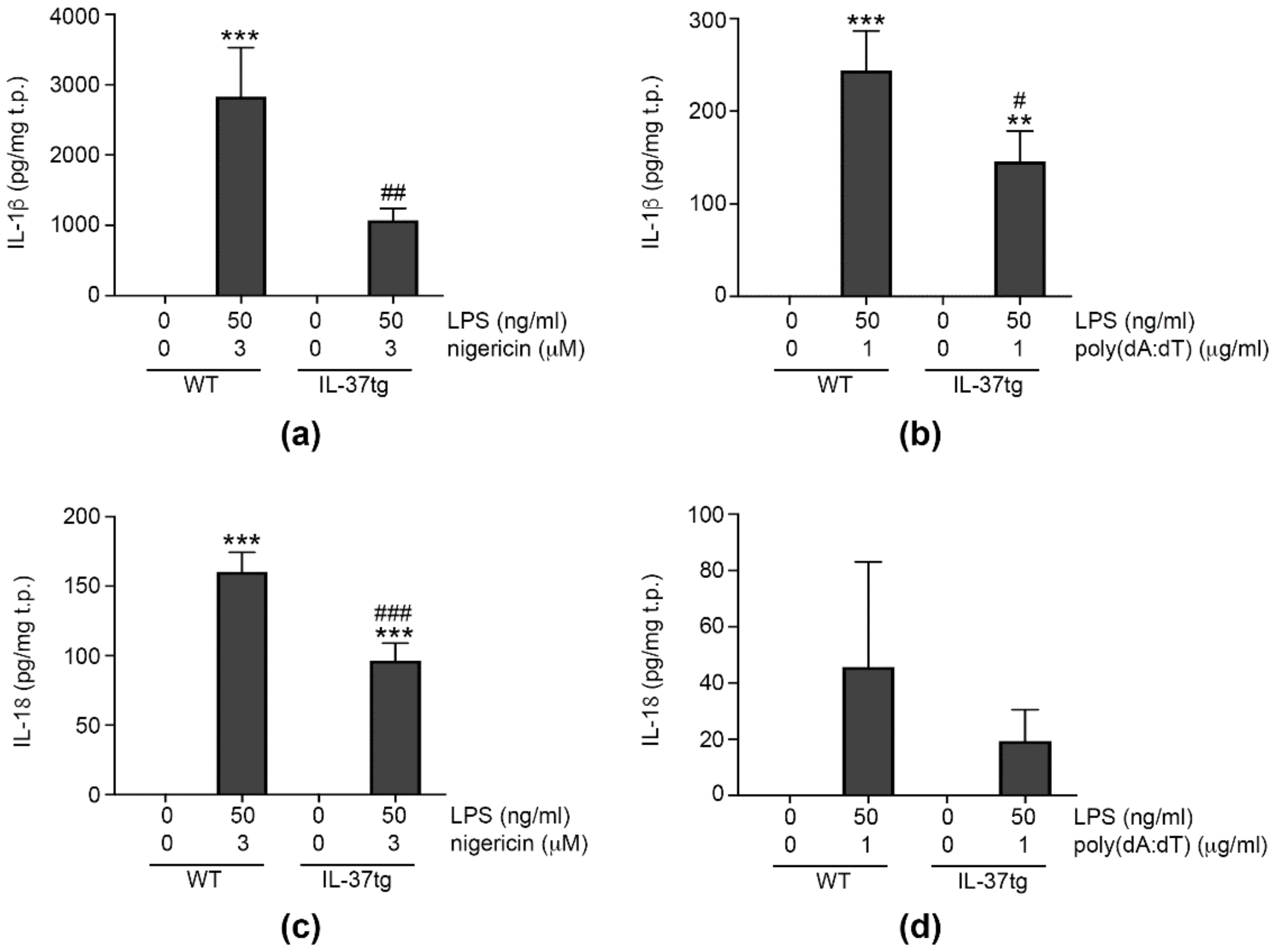 Cells 09 00178 g001 Cells 09 00178 g001