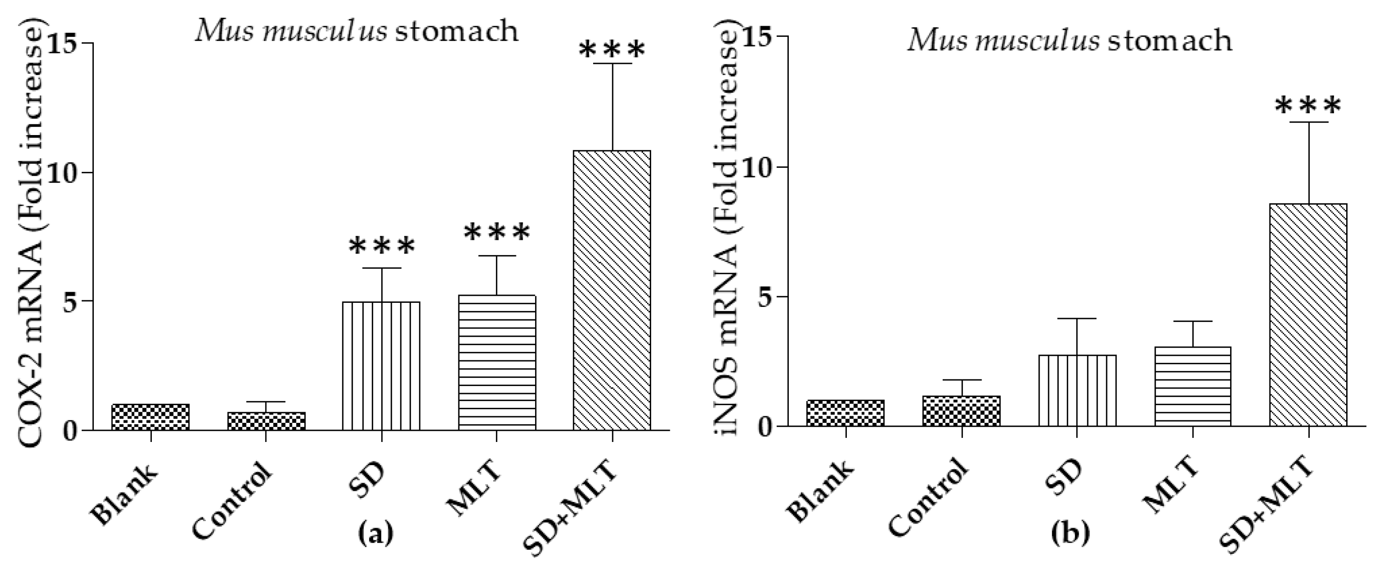 Cells 09 00180 g008 Cells 09 00180 g008