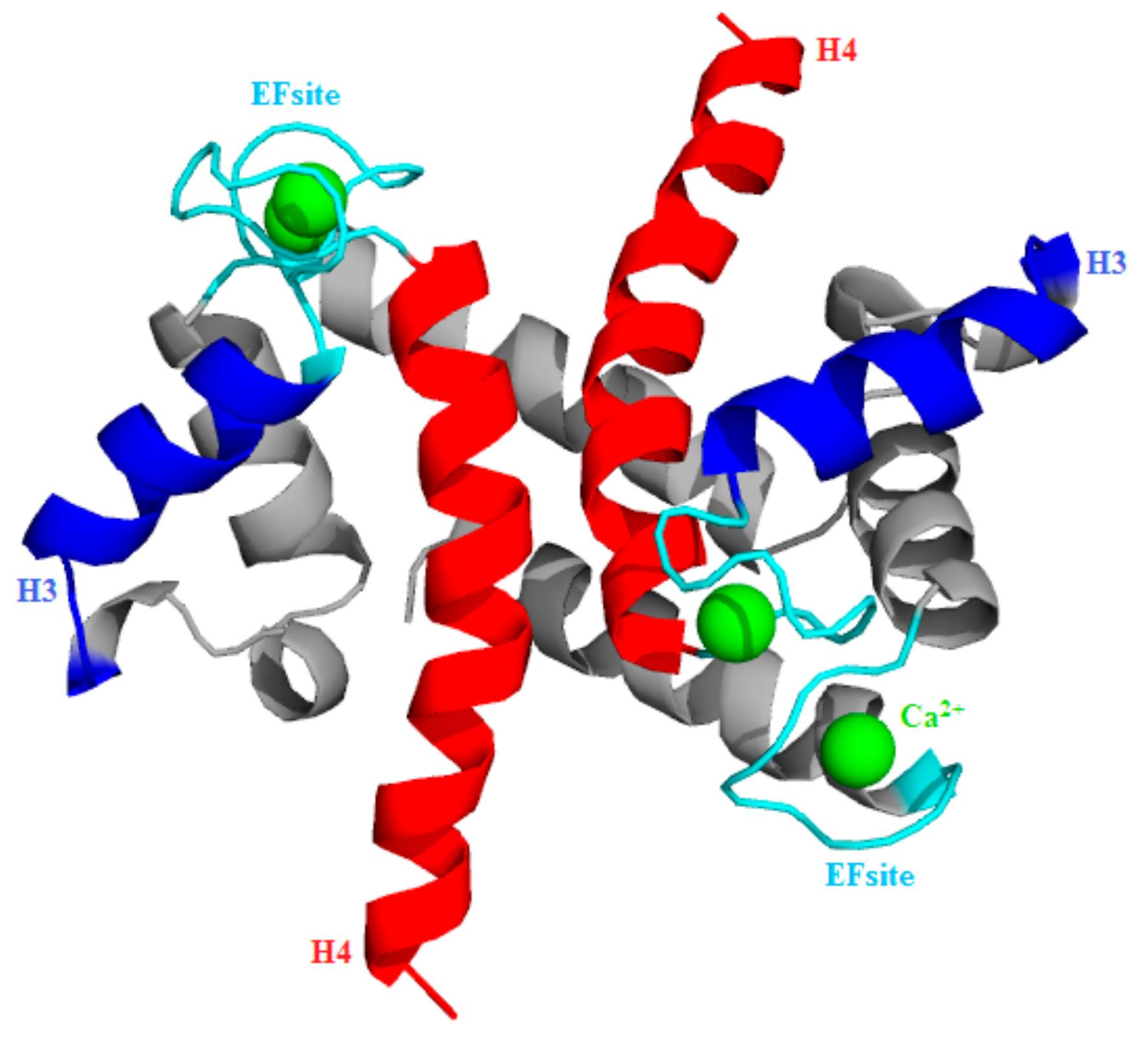 Cells 09 00181 g001