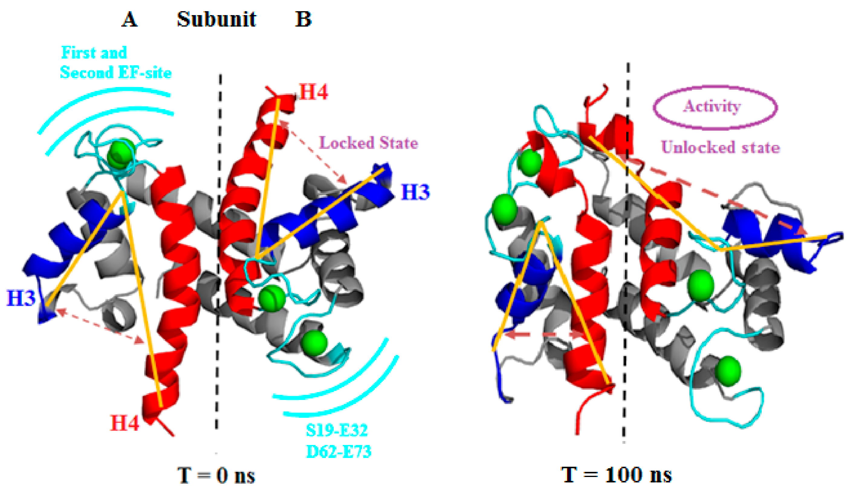 Cells 09 00181 g003
