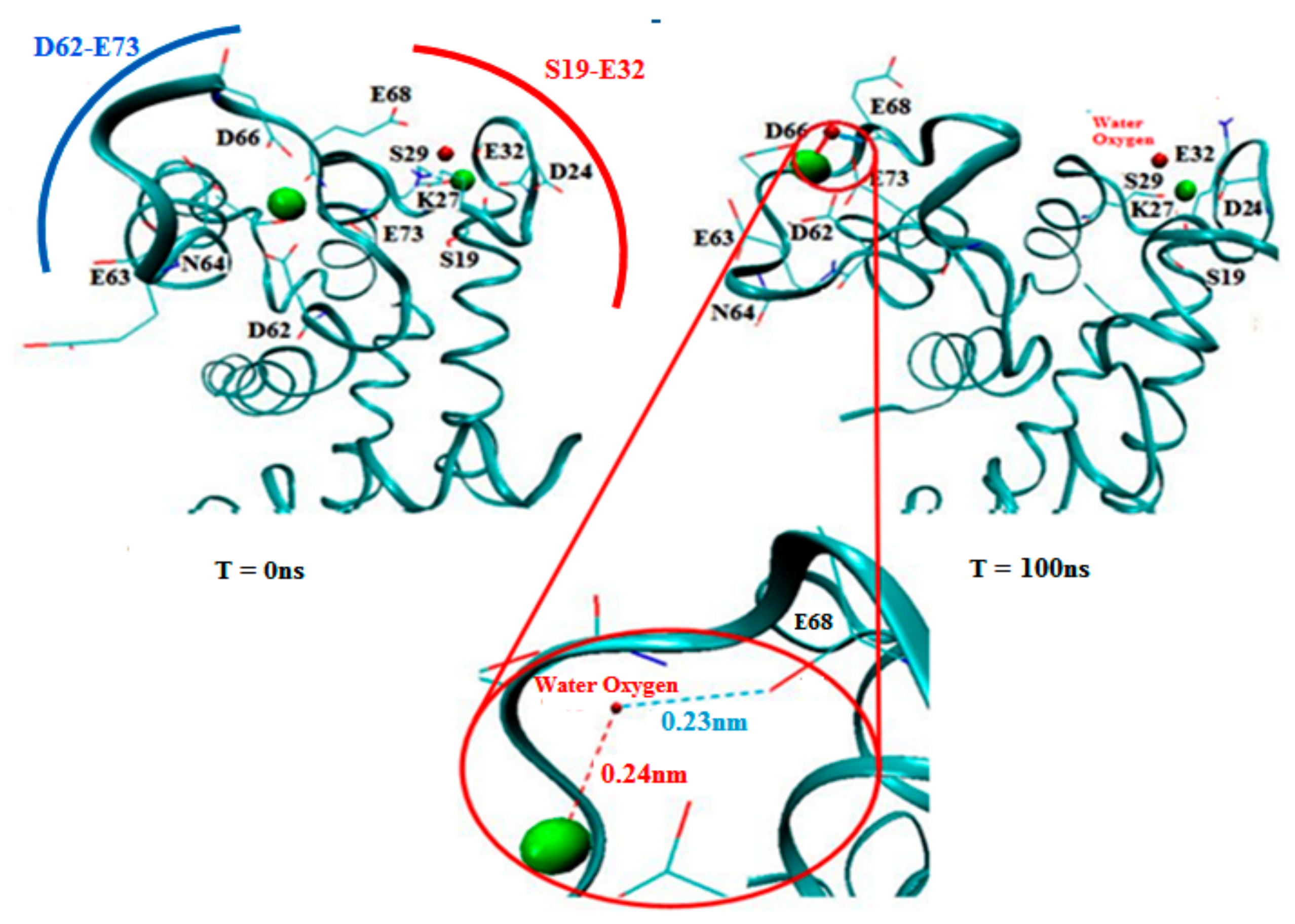 Cells 09 00181 g007