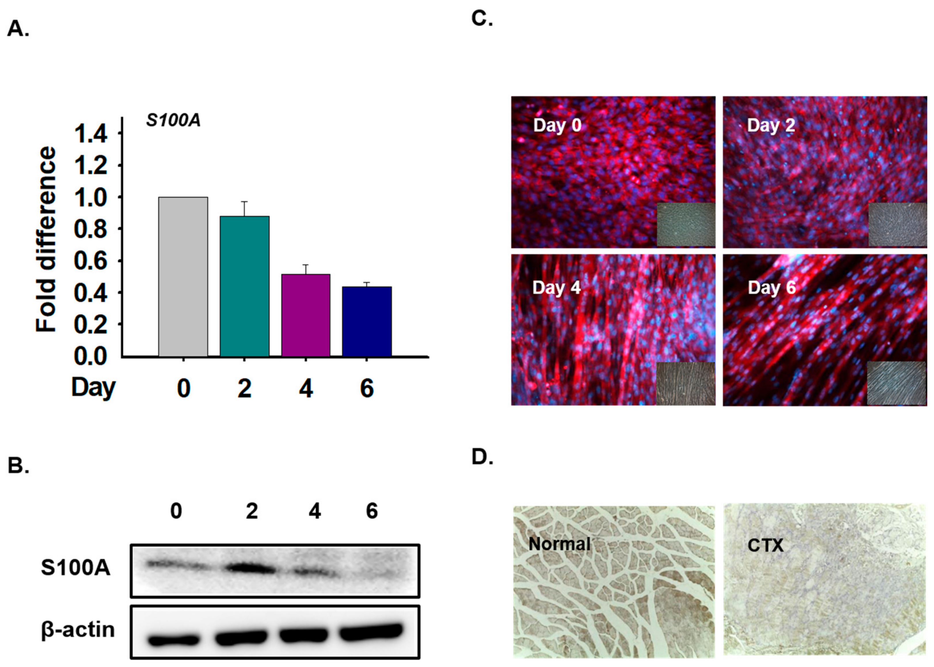 Cells 09 00181 g010