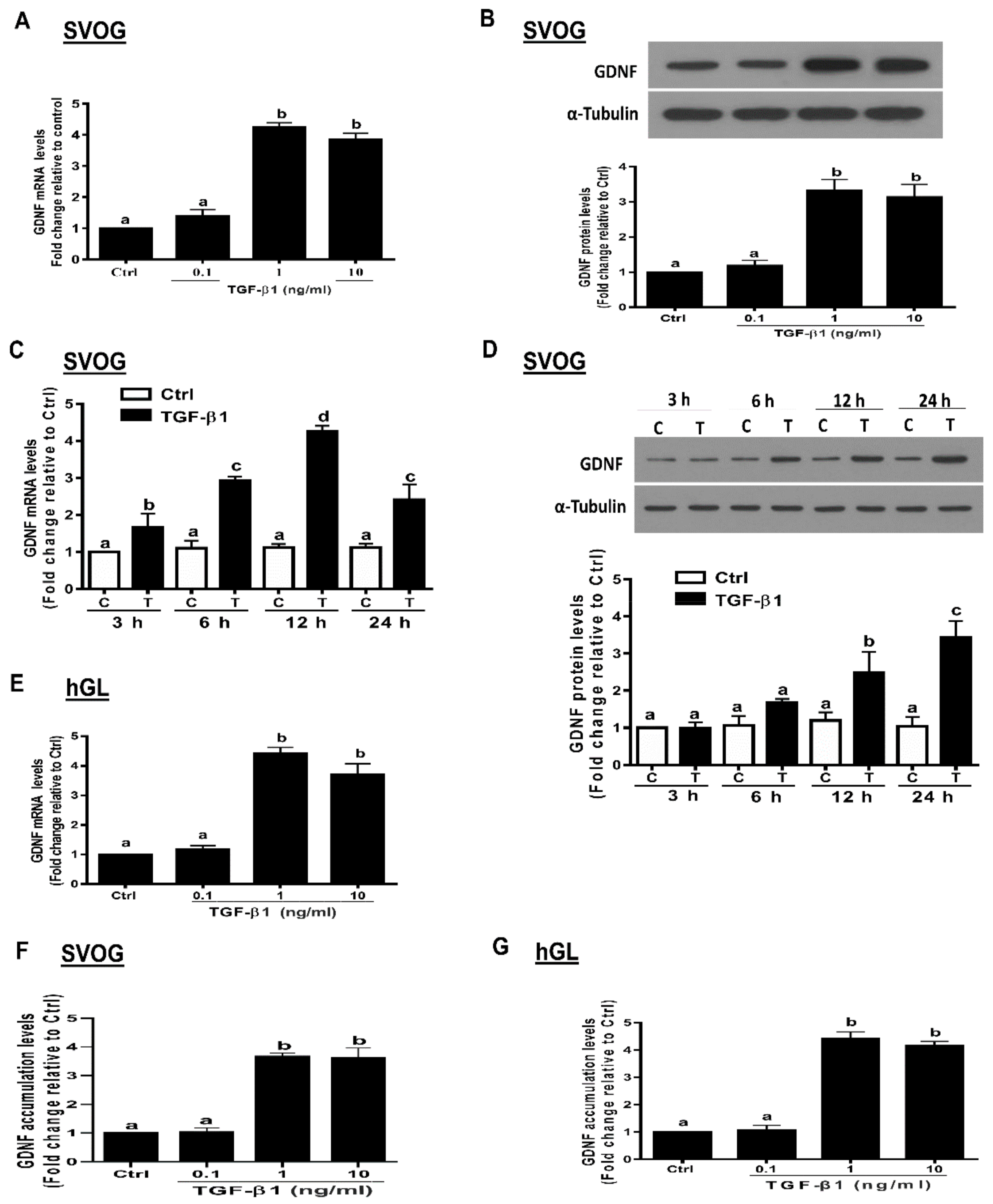 Cells 09 00185 g001 Cells 09 00185 g001