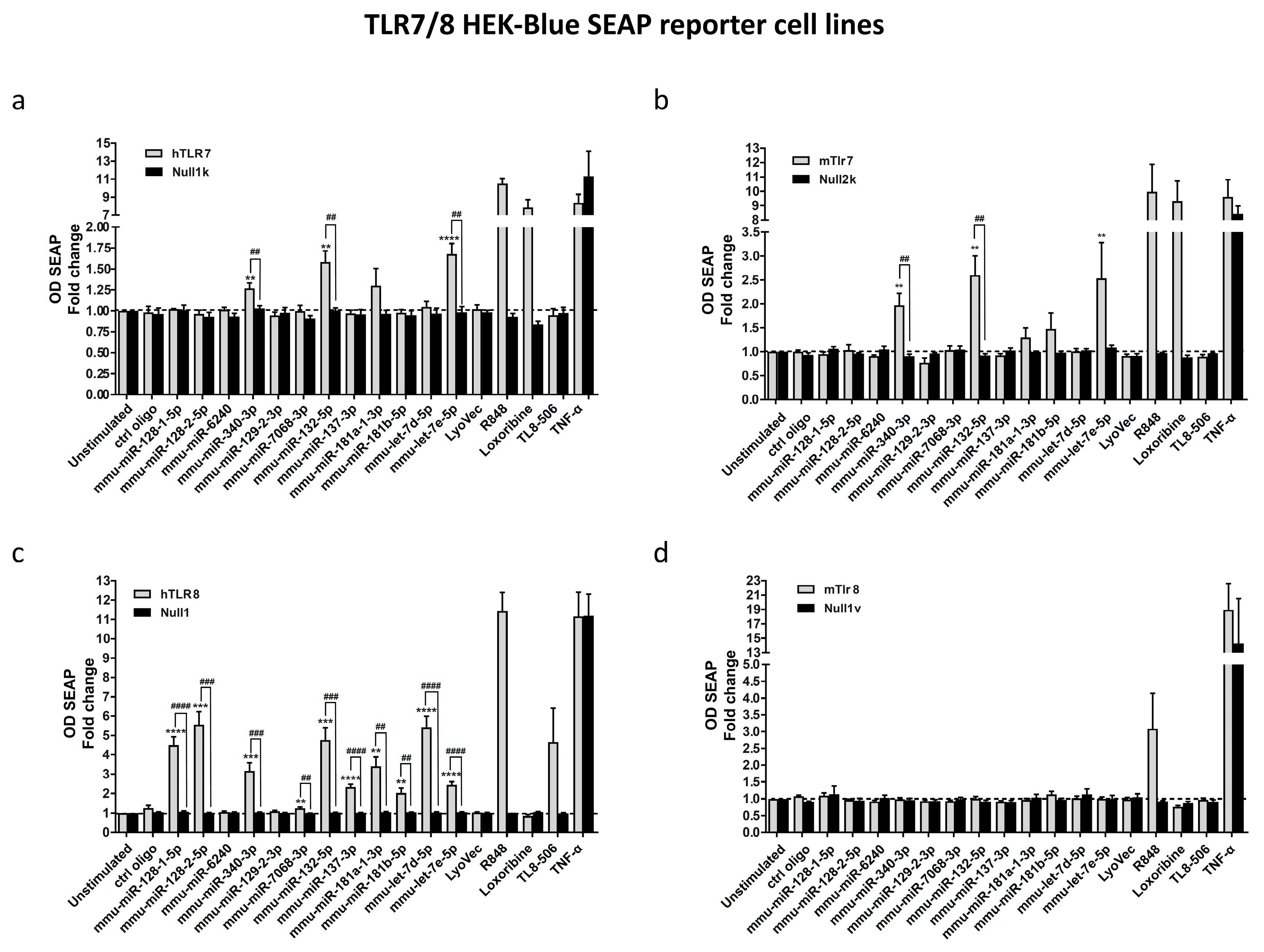 Cells 09 00186 g002 Cells 09 00186 g002