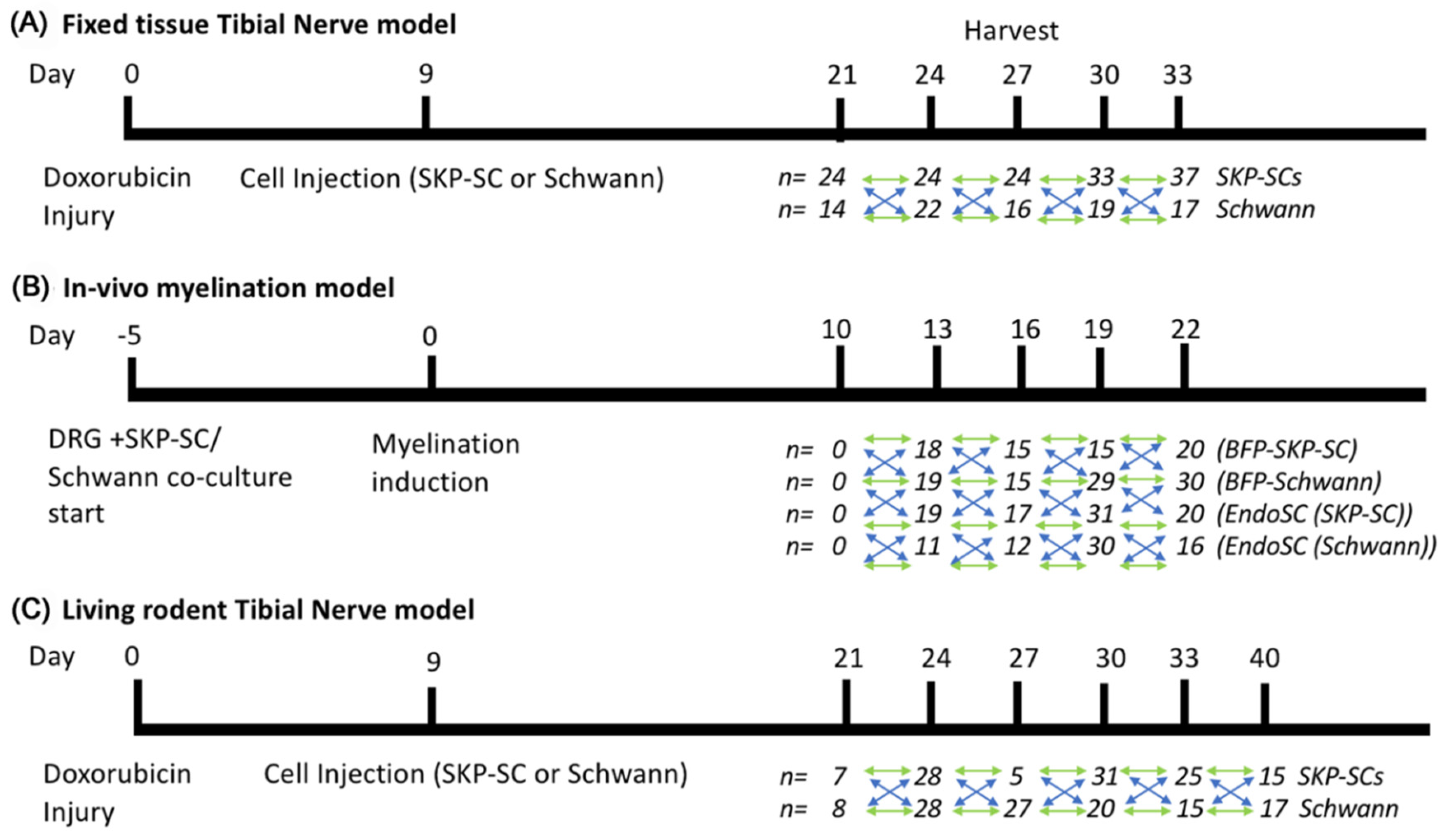 Cells 09 00189 g002 Cells 09 00189 g002