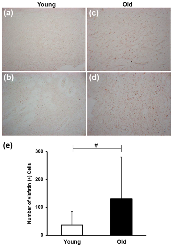 Cells 09 00193 g001