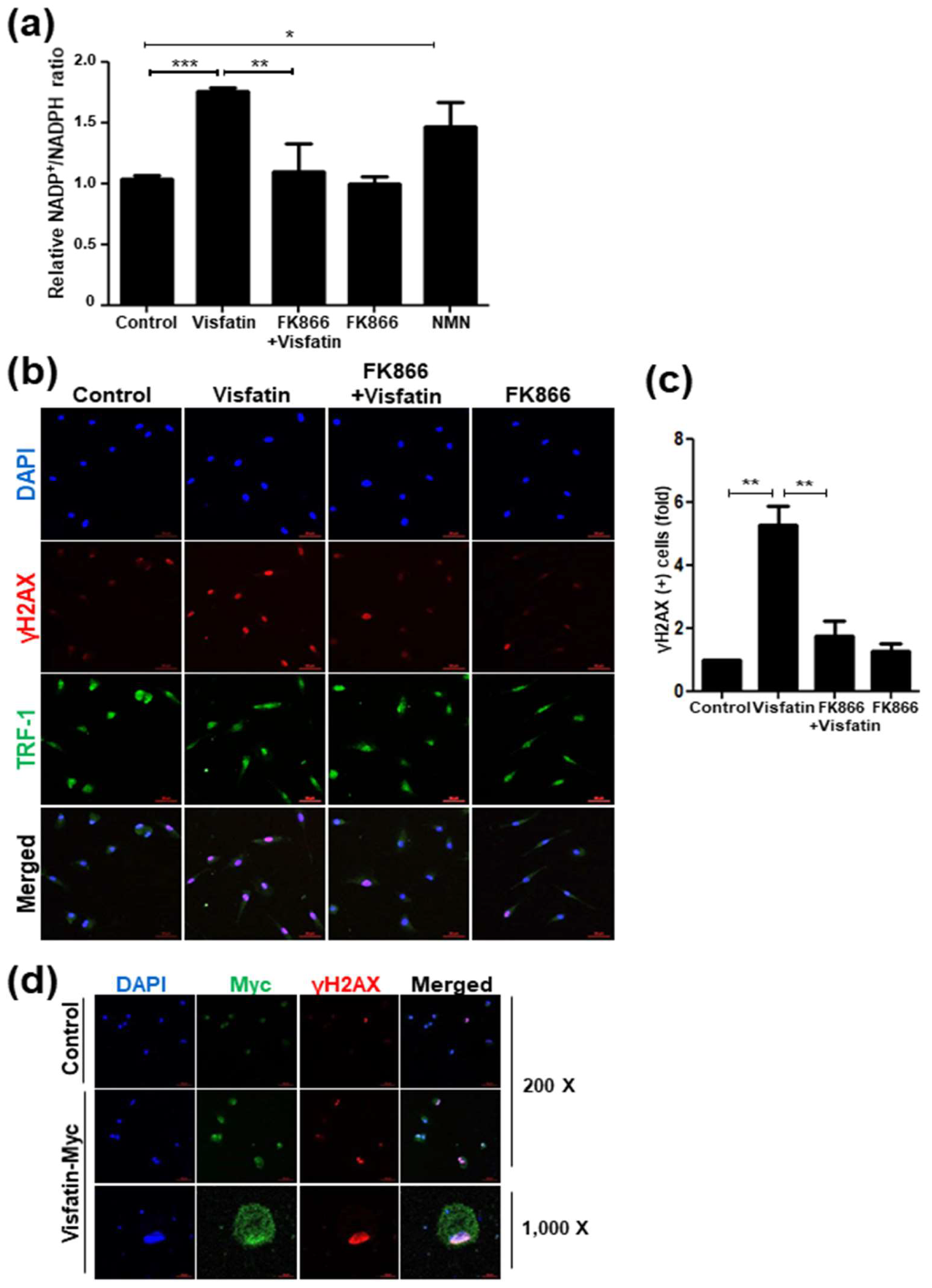 Cells 09 00193 g006