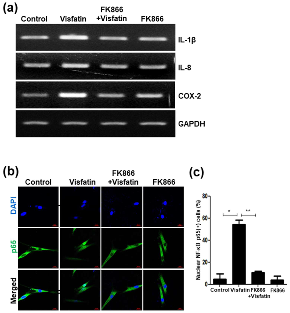Cells 09 00193 g007