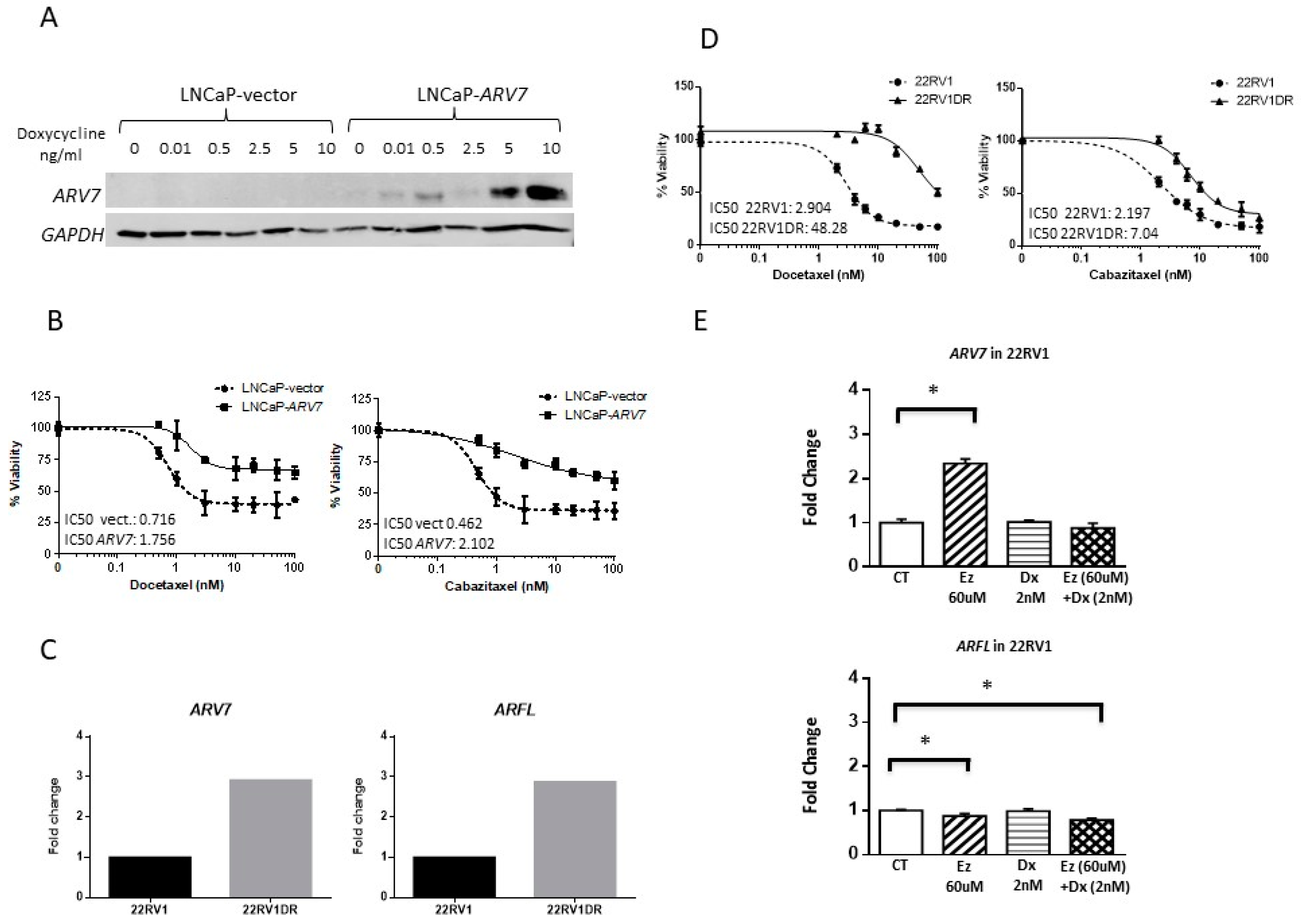 Cells 09 00203 g009 Cells 09 00203 g009