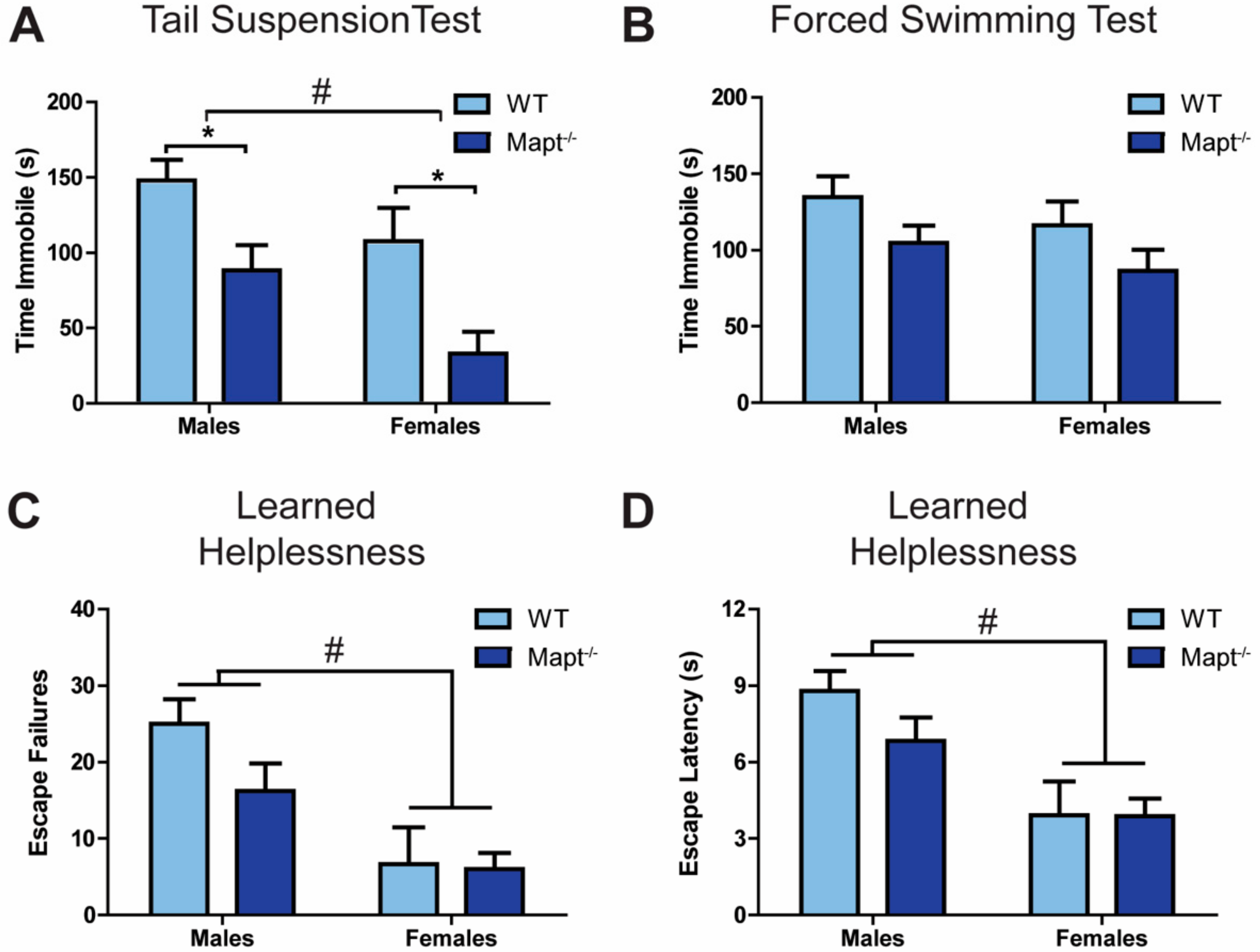 Cells 09 00210 g002 Cells 09 00210 g002