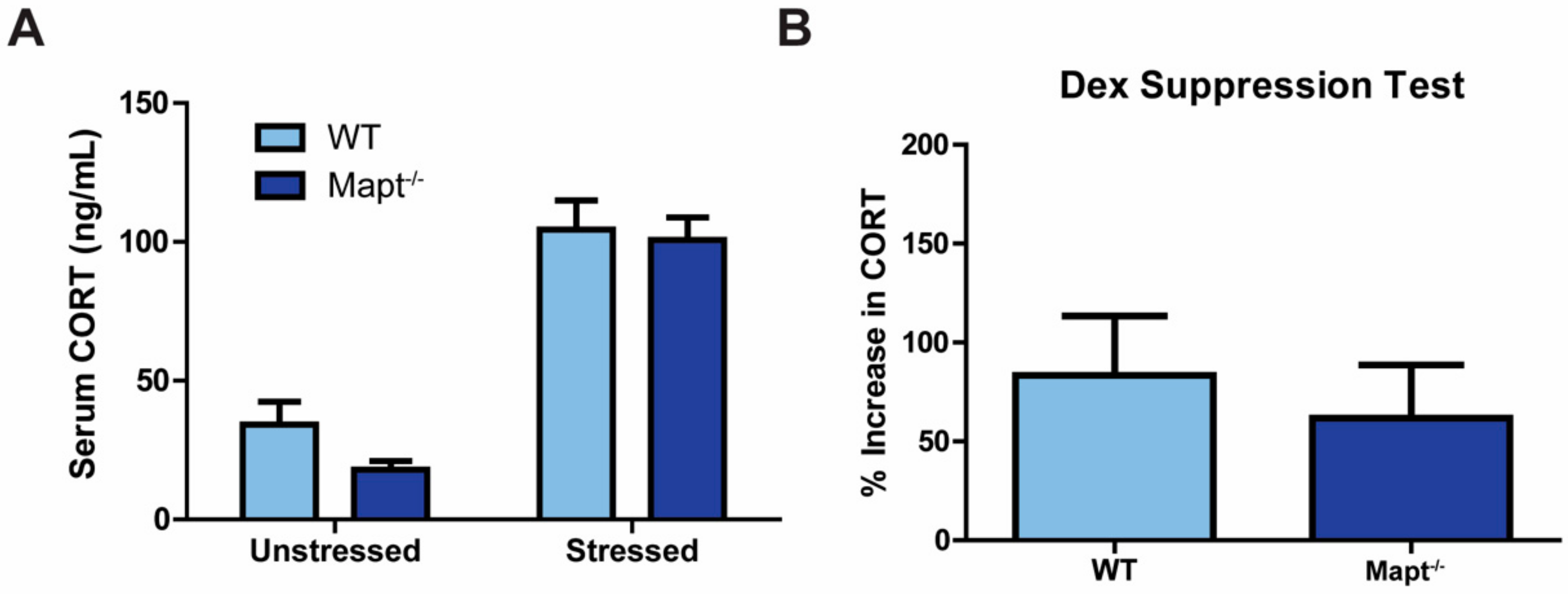 Cells 09 00210 g004 Cells 09 00210 g004