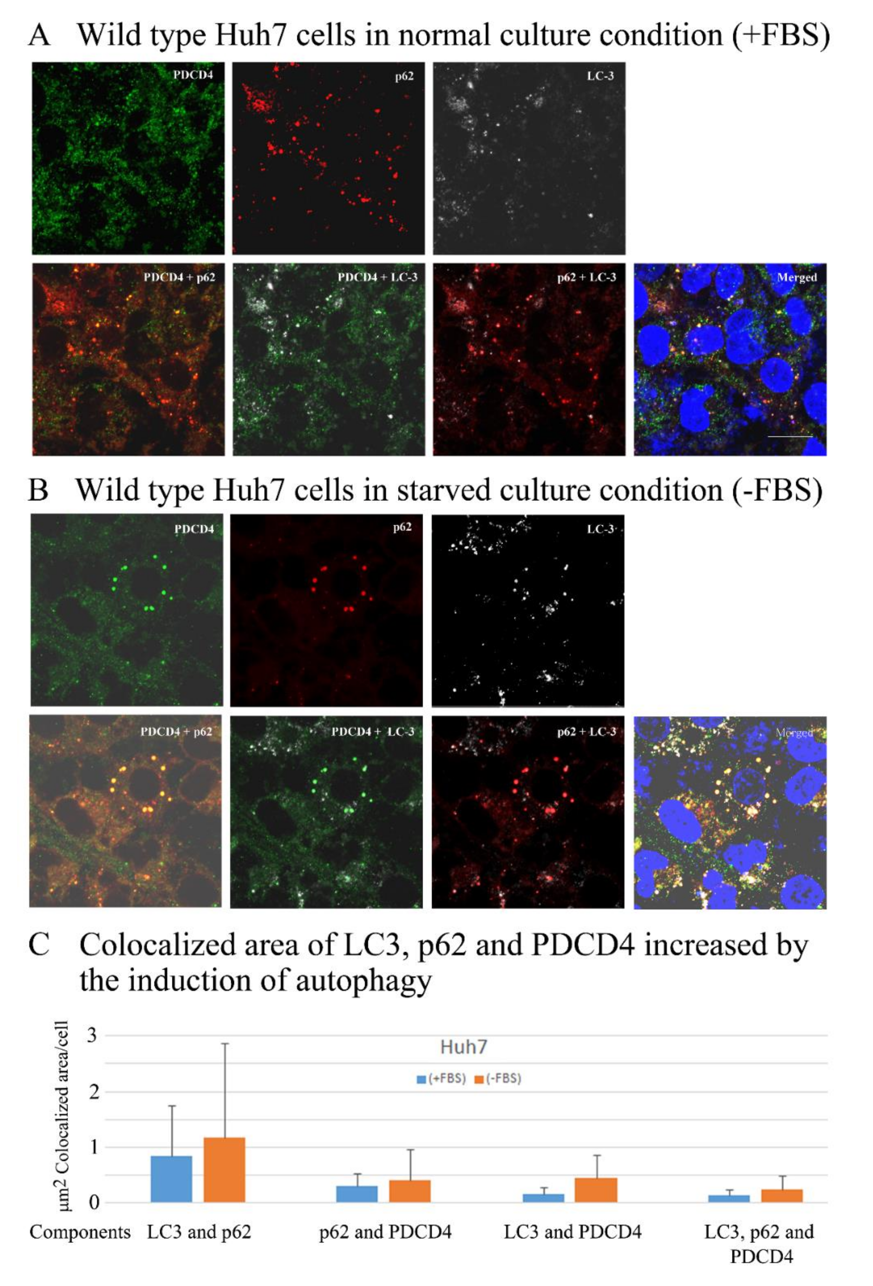 Cells 09 00218 g007 Cells 09 00218 g007