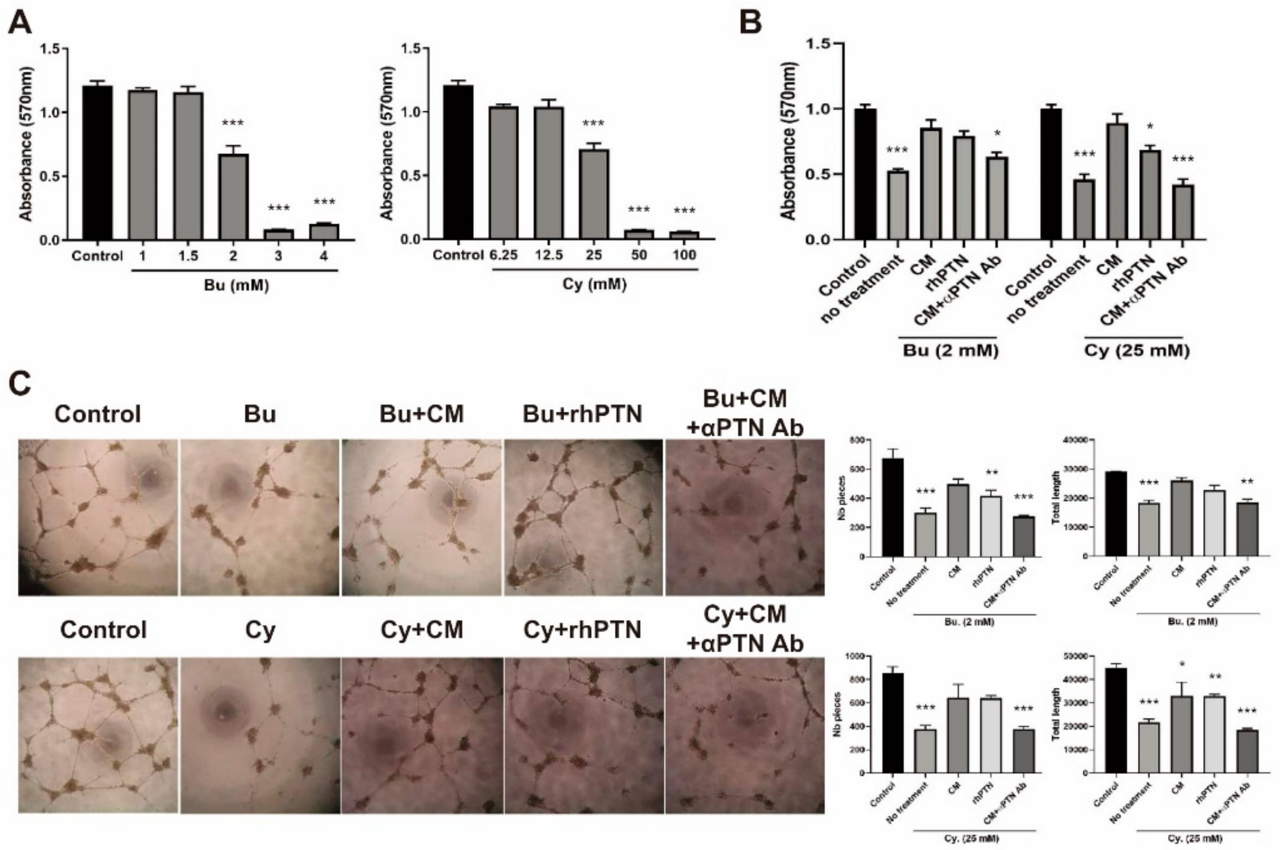 Cells 09 00221 g005 Cells 09 00221 g005
