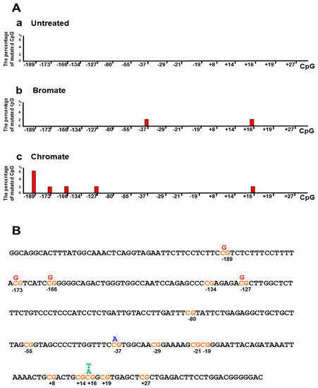 Cells | Free Full-Text | Oxidative DNA Damage Modulates DNA 
