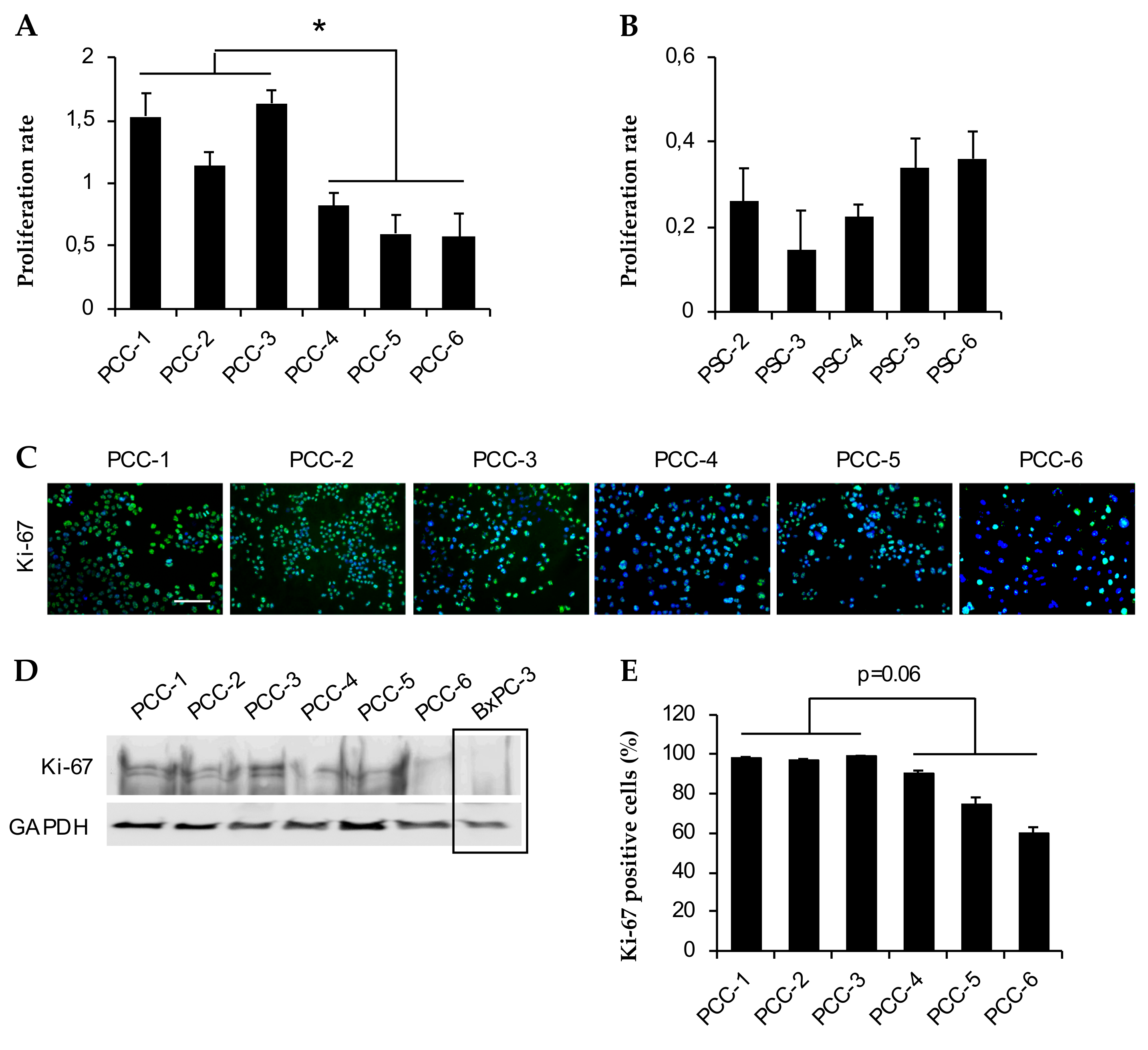 Cells 09 00227 g003 Cells 09 00227 g003