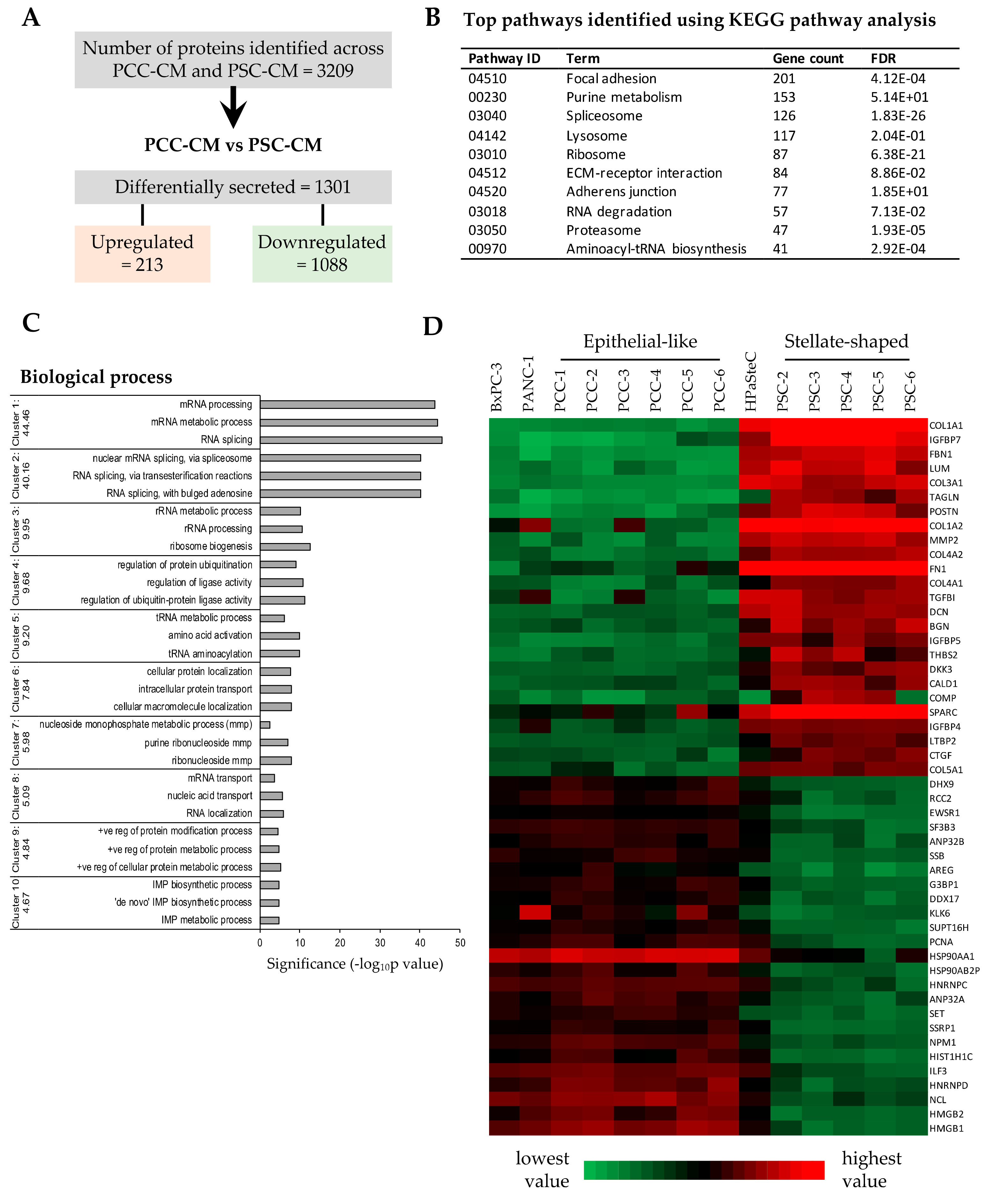 Cells 09 00227 g004 Cells 09 00227 g004