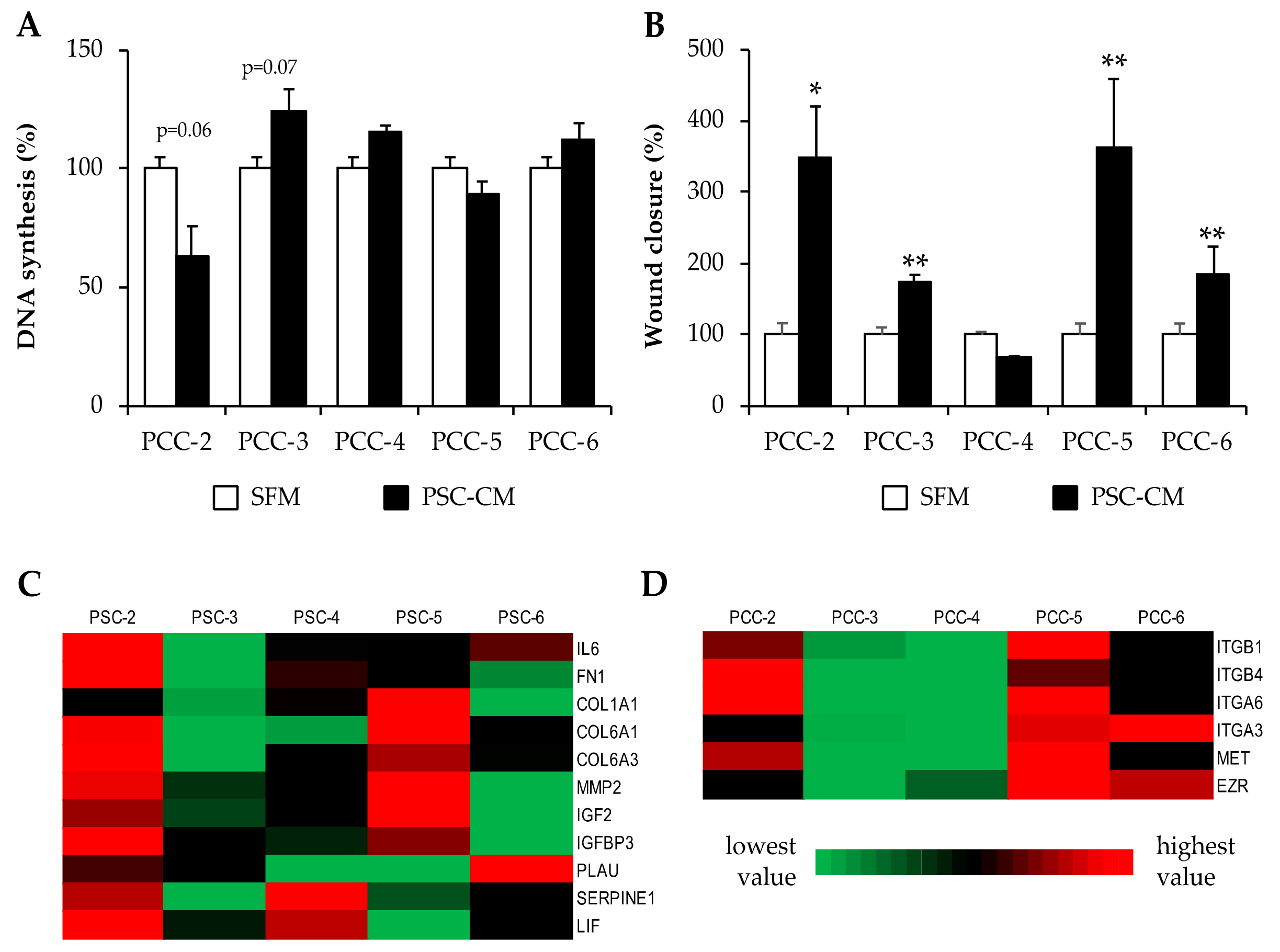 Cells 09 00227 g005 Cells 09 00227 g005