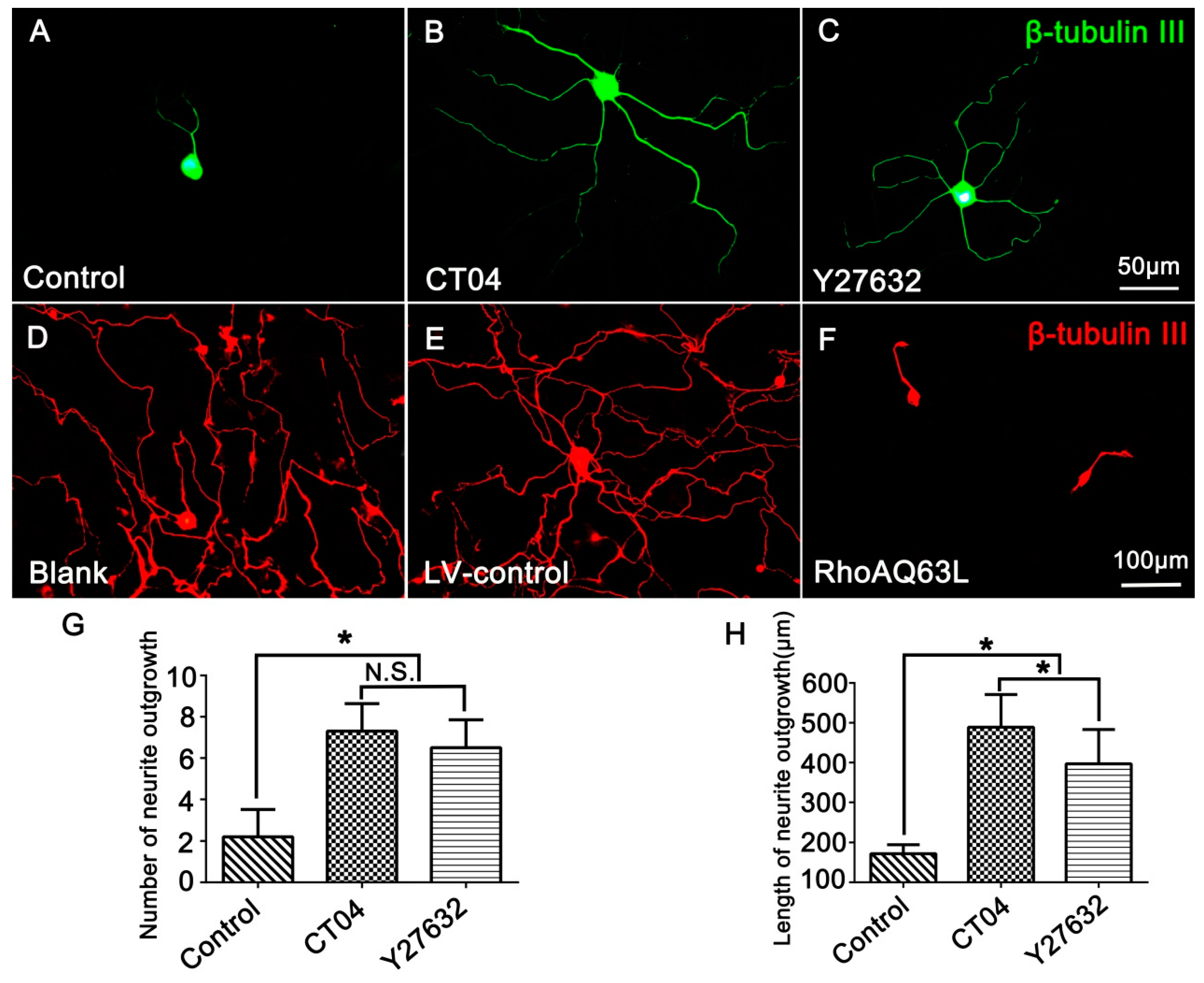Cells 09 00230 g001 Cells 09 00230 g001