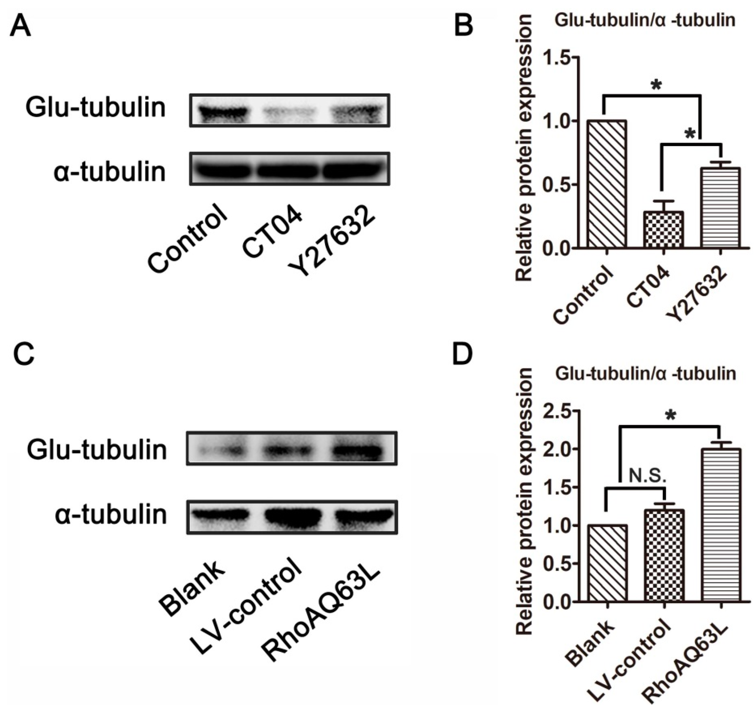 Cells 09 00230 g003 Cells 09 00230 g003