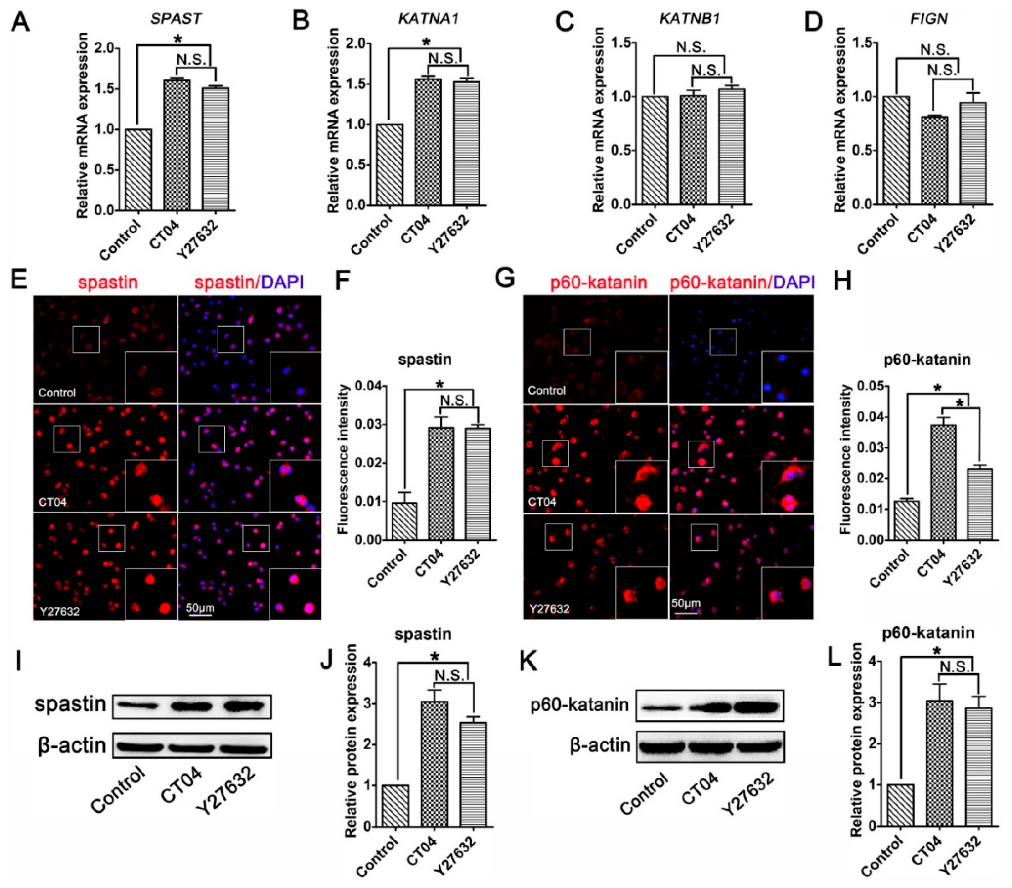 Cells 09 00230 g004 Cells 09 00230 g004