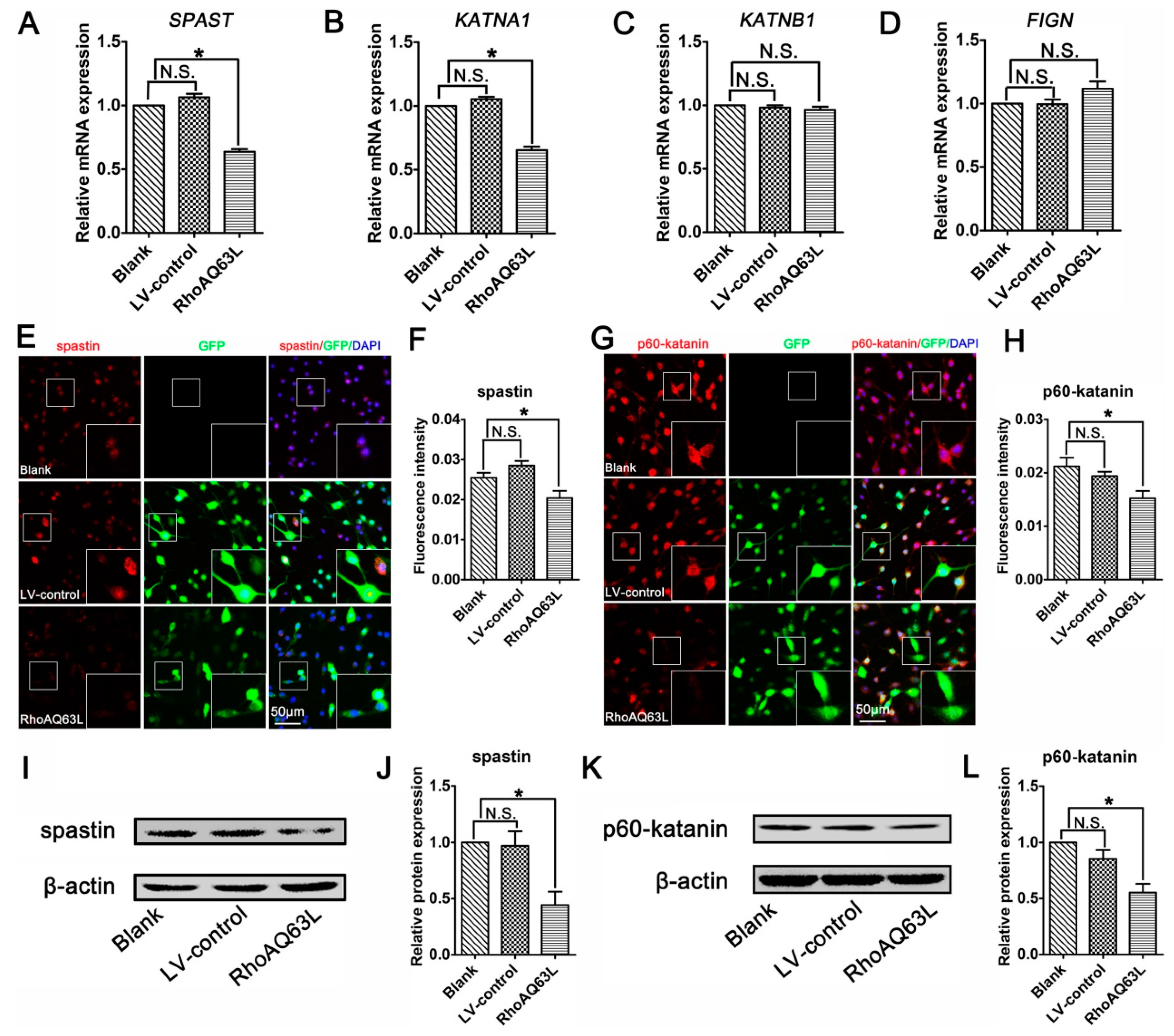 Cells 09 00230 g005 Cells 09 00230 g005