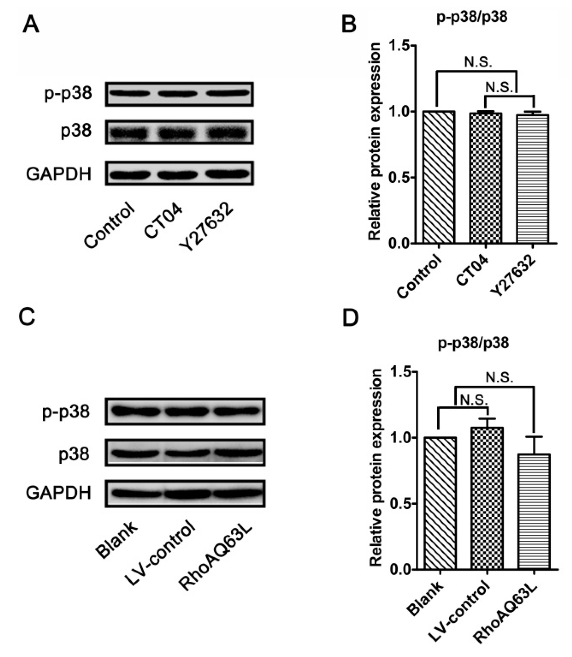 Cells 09 00230 g007 Cells 09 00230 g007