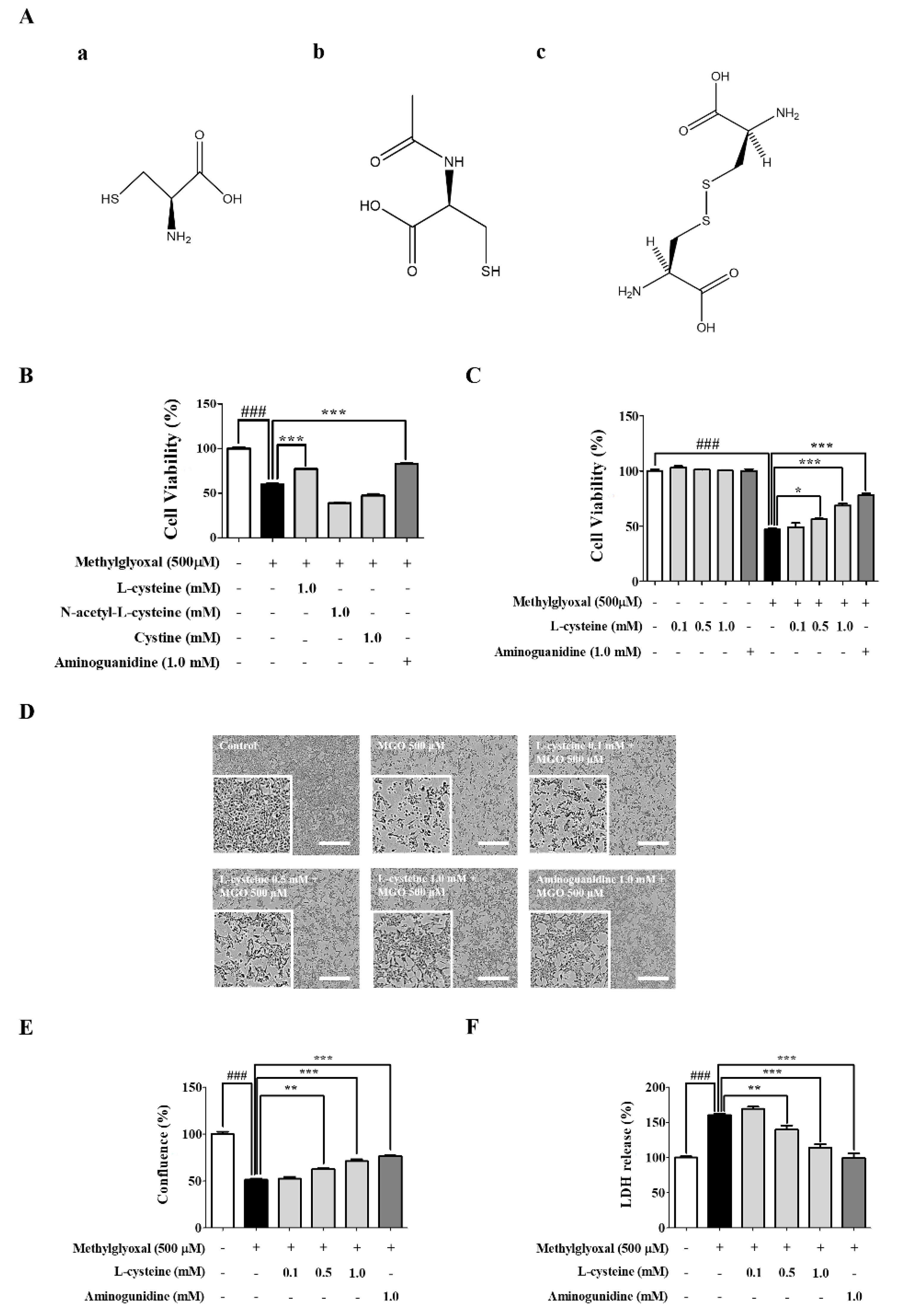 Cells 09 00234 g001 Cells 09 00234 g001