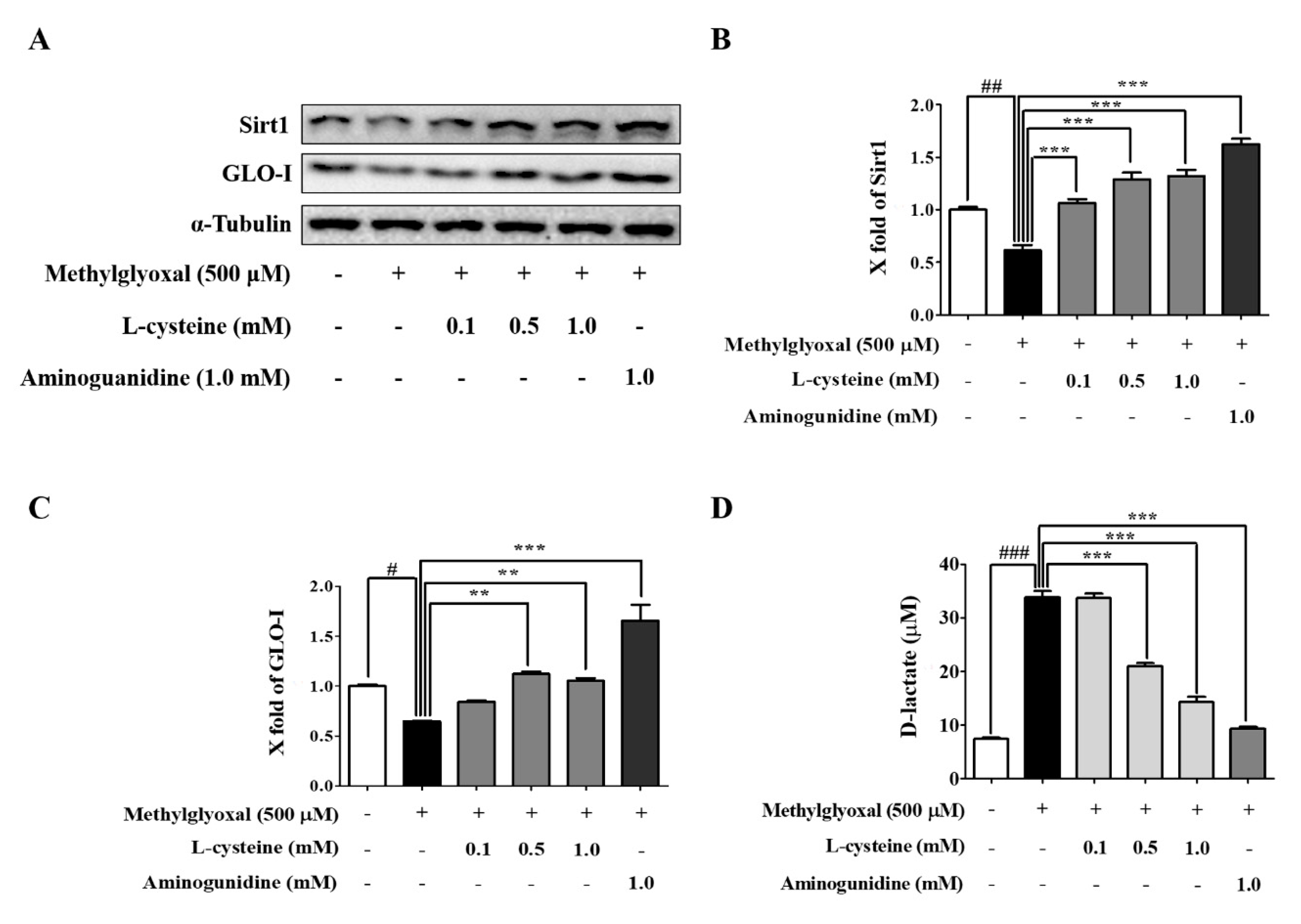 Cells 09 00234 g005 Cells 09 00234 g005