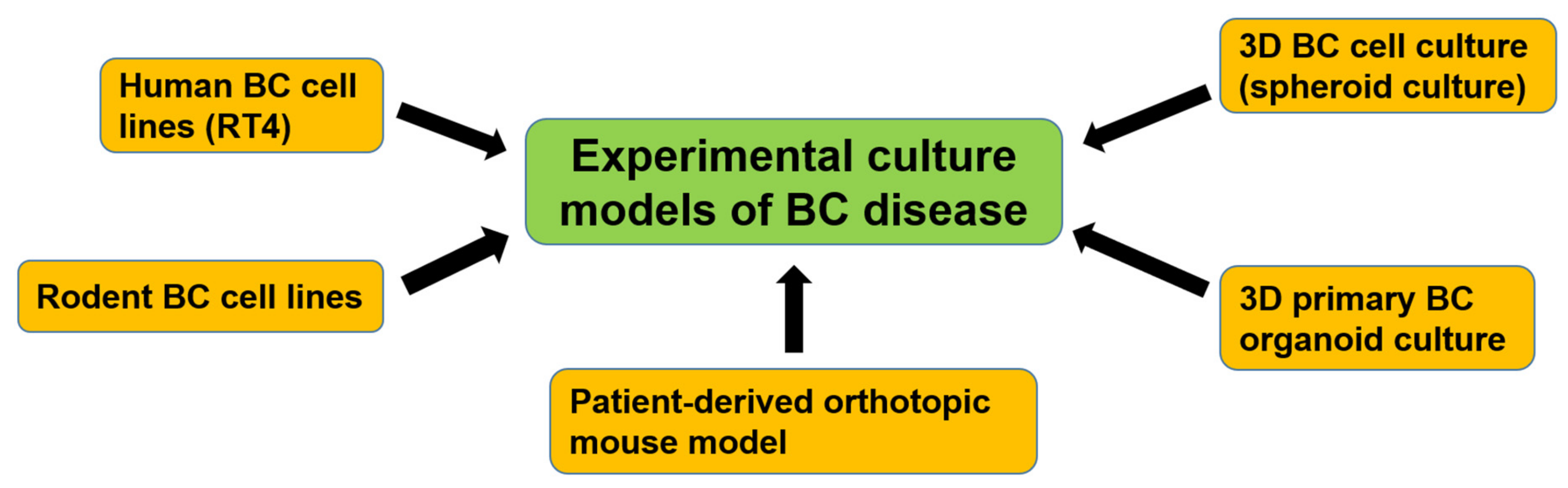 Cells 09 00235 g003 Cells 09 00235 g003
