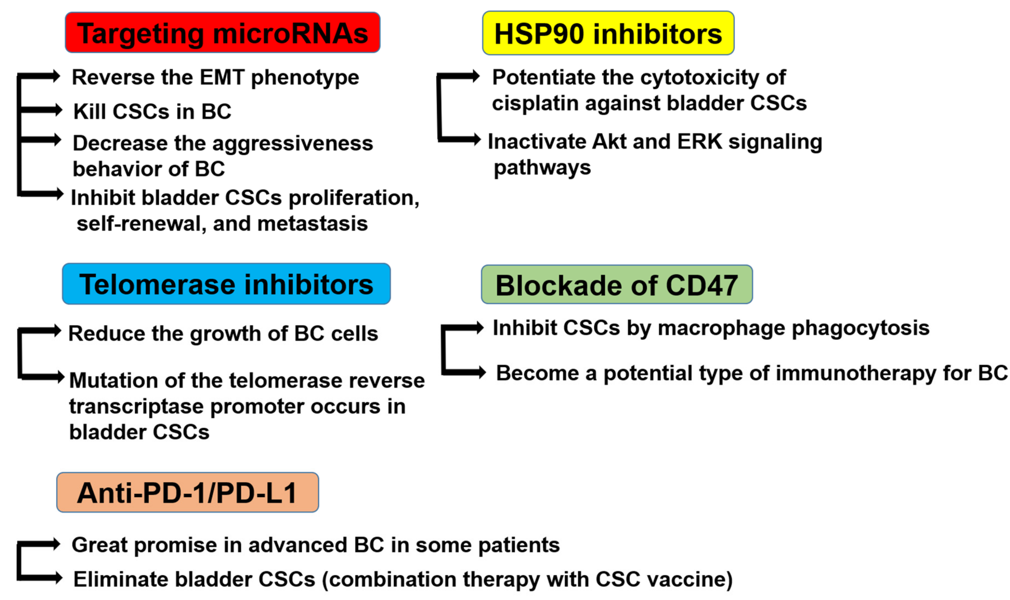 Cells 09 00235 g004 Cells 09 00235 g004