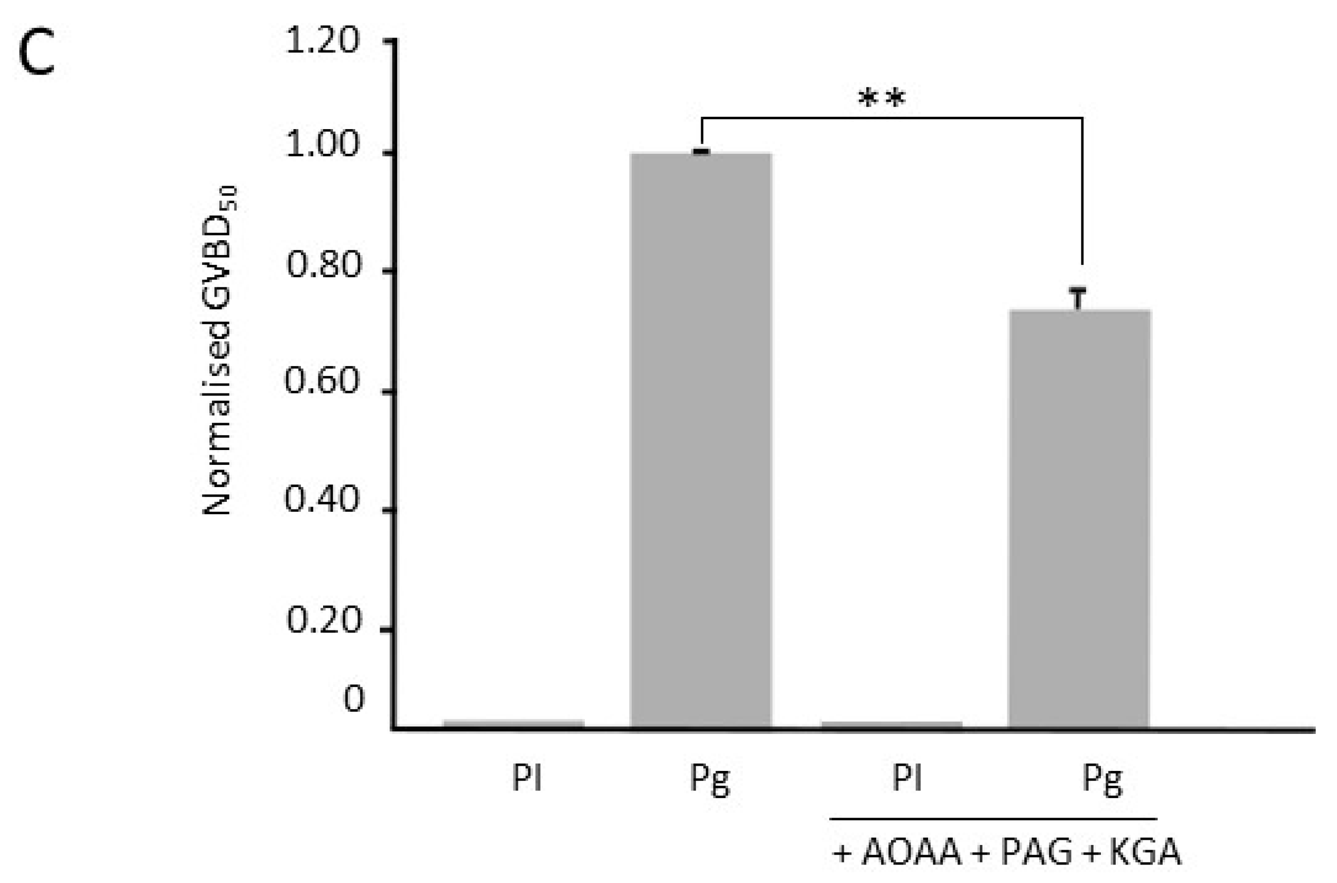 Cells 09 00237 g002b Cells 09 00237 g002b