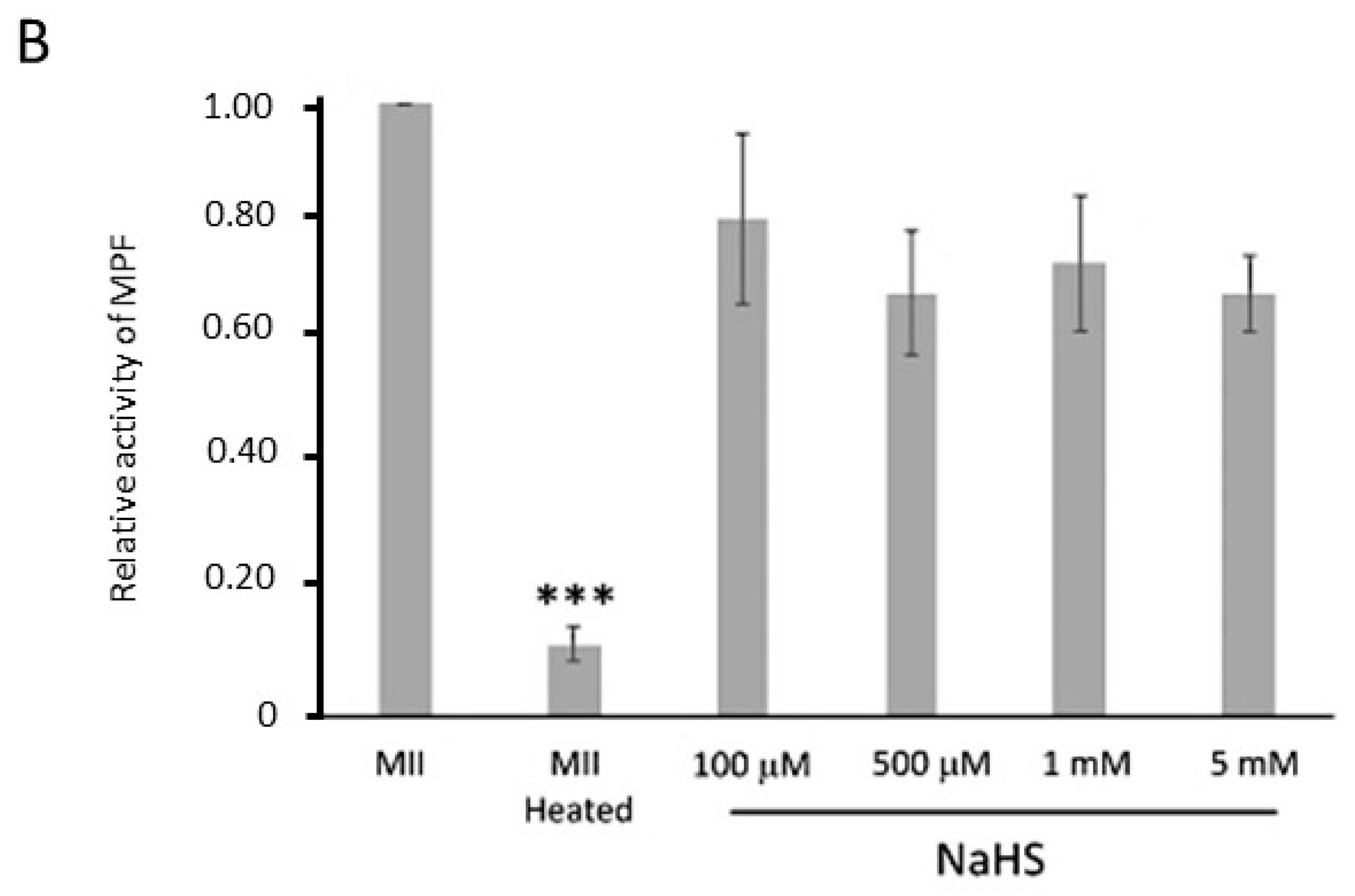 Cells 09 00237 g006b Cells 09 00237 g006b
