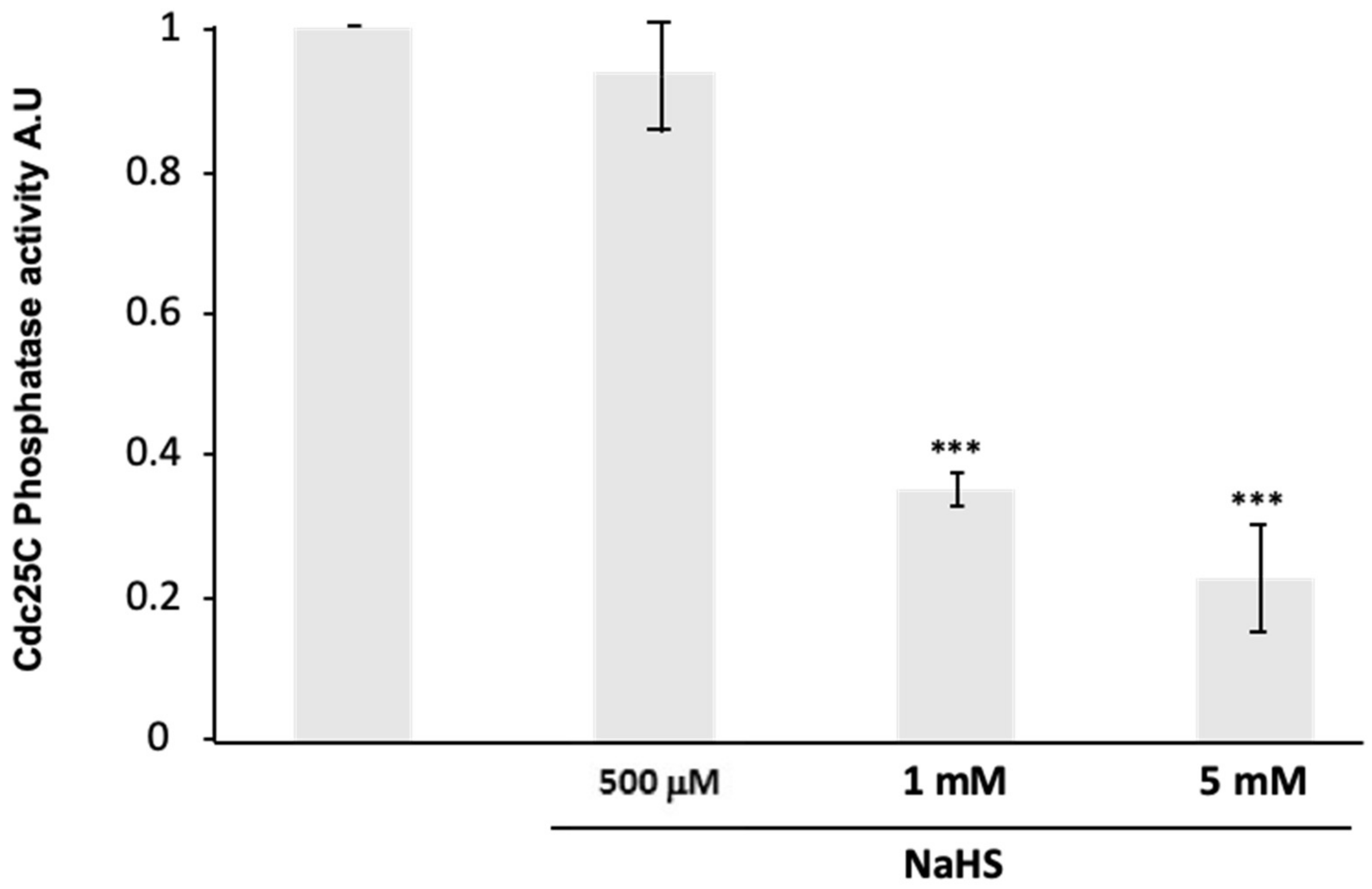 Cells 09 00237 g007 Cells 09 00237 g007