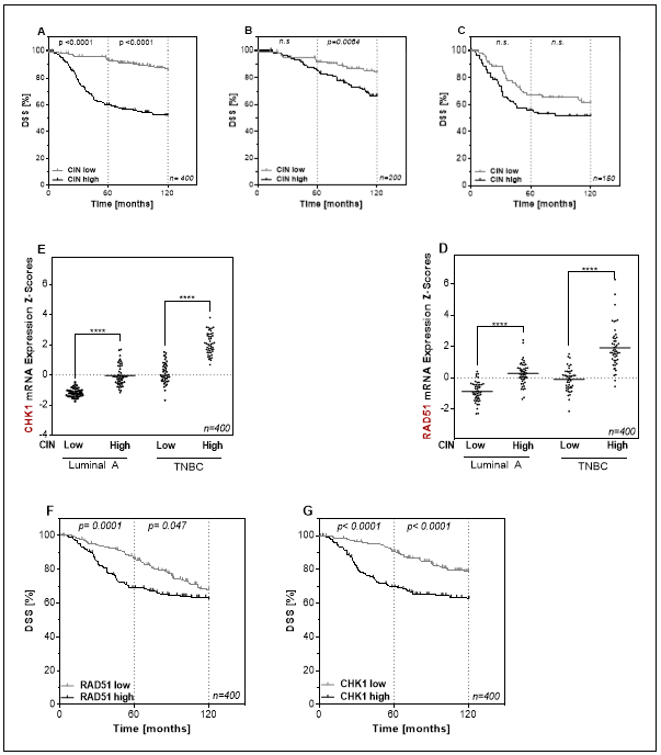 Cells 09 00238 g001 Cells 09 00238 g001