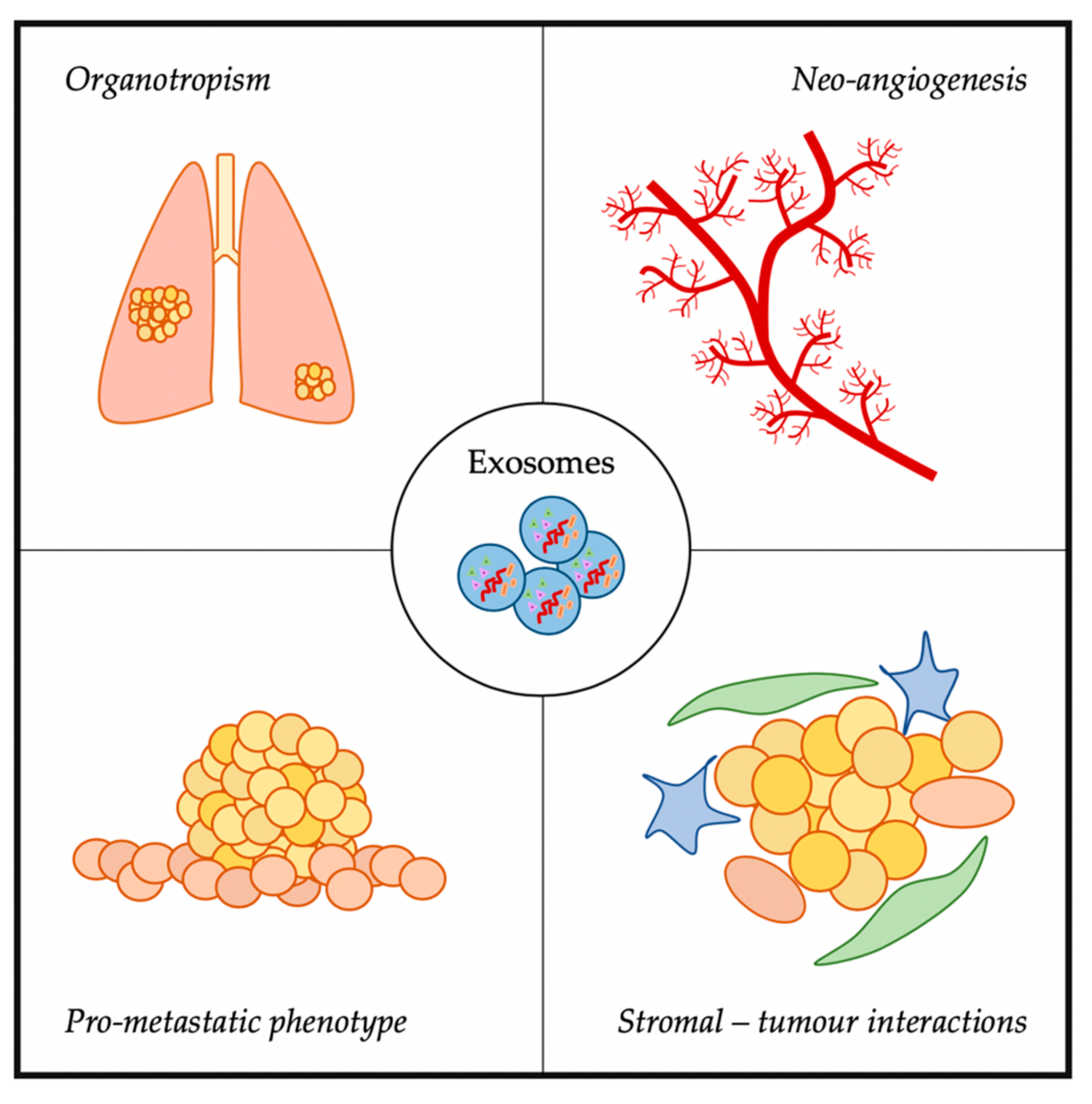 Cells 09 00241 g002 Cells 09 00241 g002